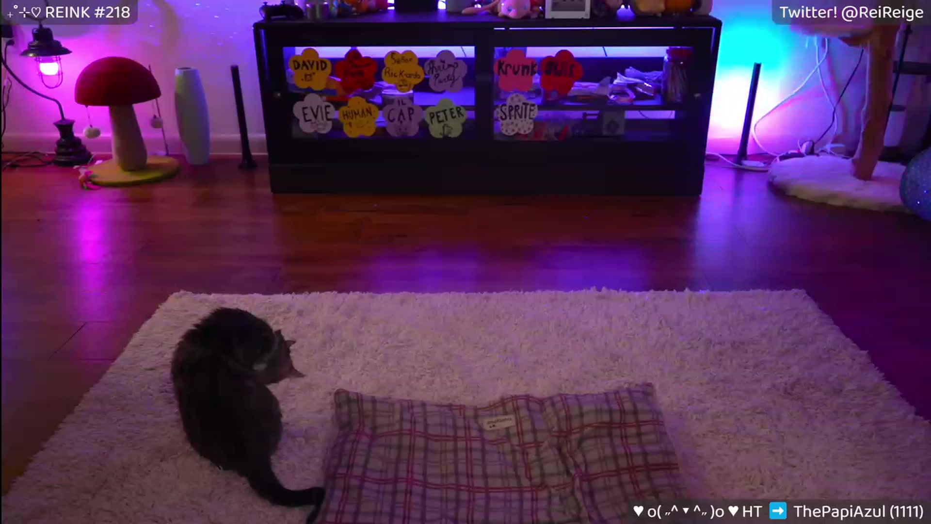 Gallery image thumbnail from Reige's myfreecams stream on, 05/27/2023, 11:05 image 16 of 20