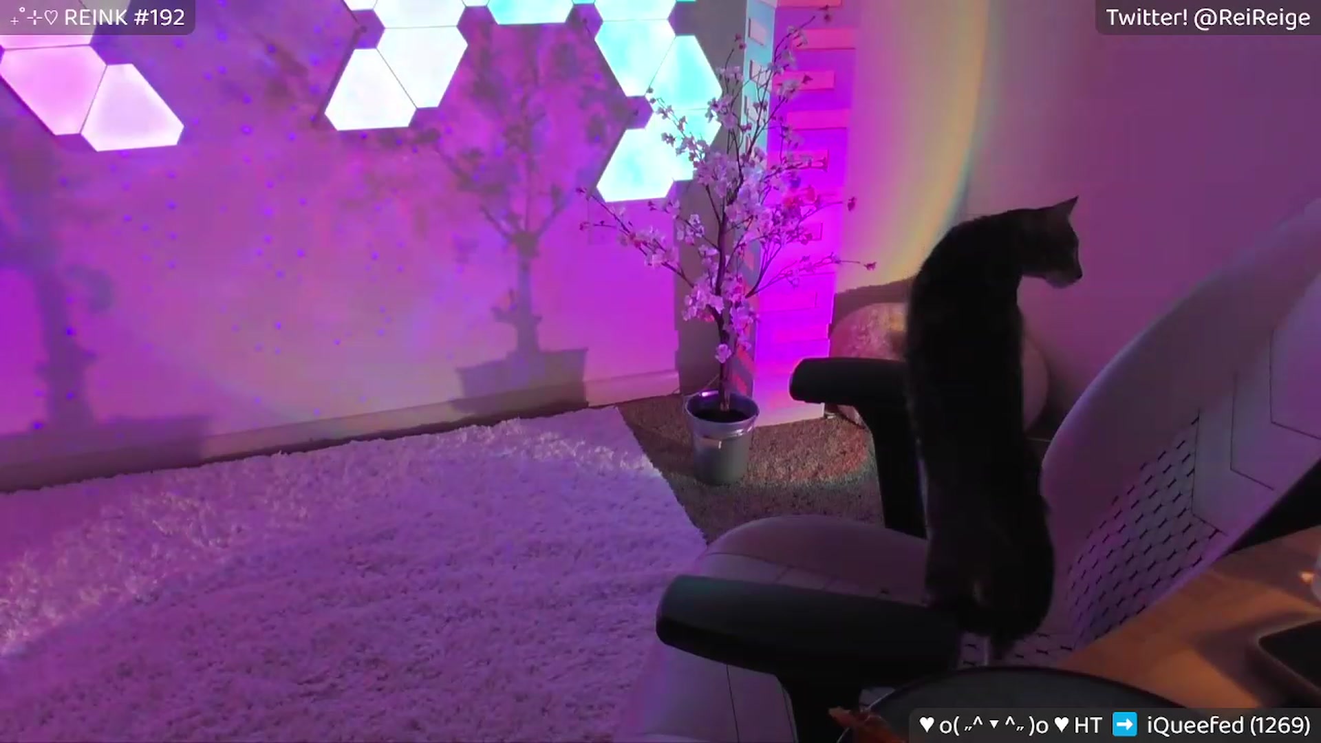 Gallery image thumbnail from Reige's myfreecams stream on, 06/18/2023, 11:39 image 20 of 20