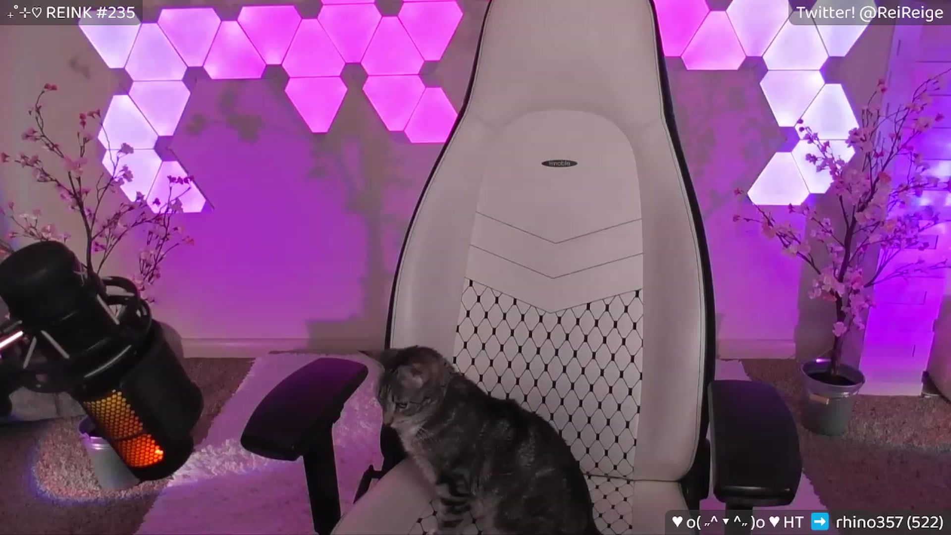 Gallery image thumbnail from Reige's myfreecams stream on, 06/22/2023, 09:45 image 11 of 20