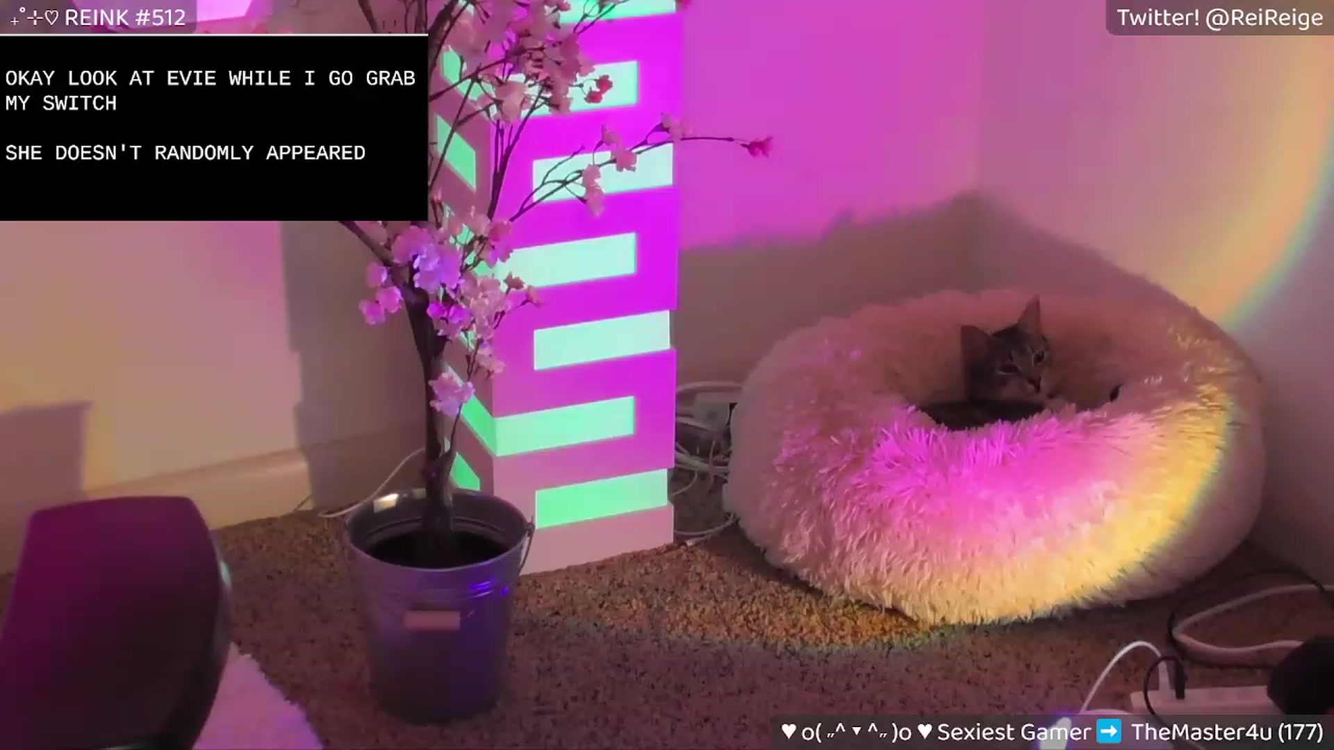 Gallery image thumbnail from Reige's myfreecams stream on, 07/19/2023, 05:46 image 6 of 20