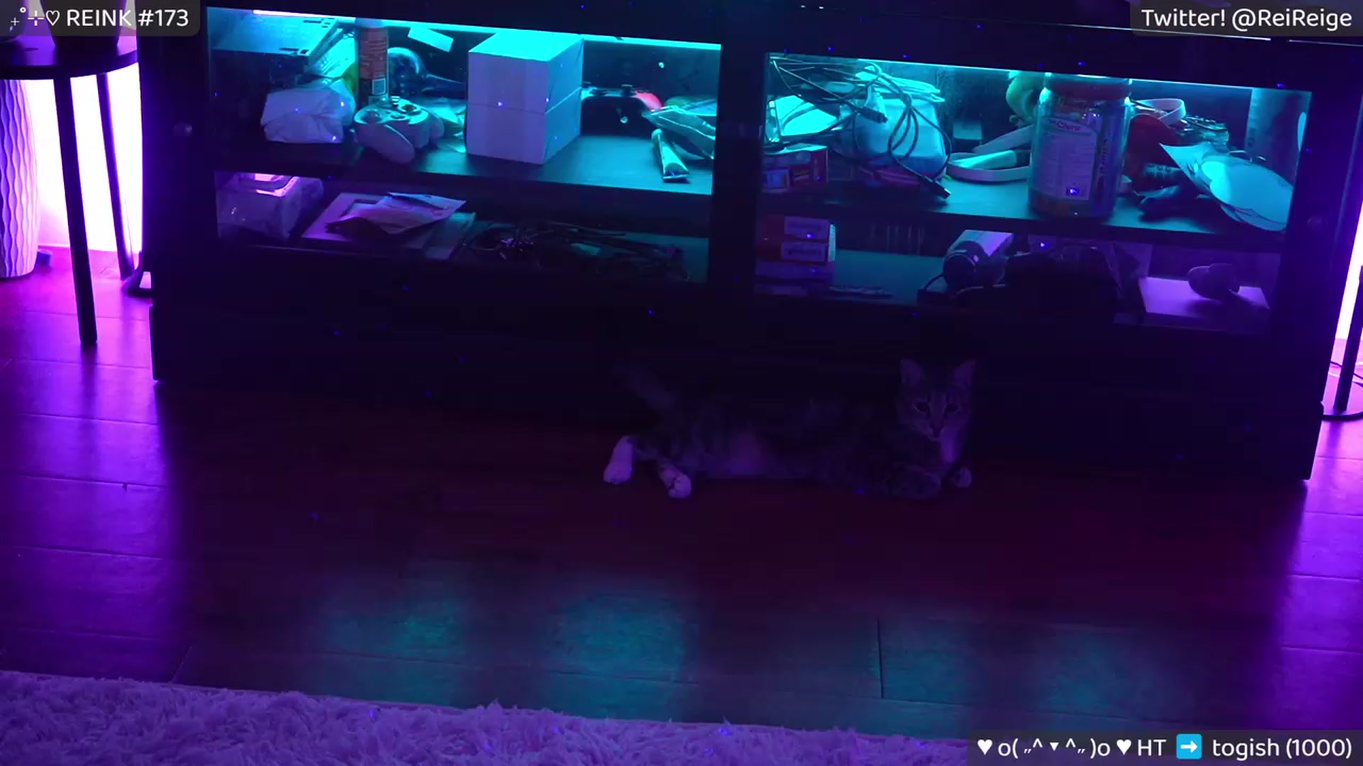 Gallery image thumbnail from Reige's myfreecams stream on, 09/12/2023, 12:10 image 5 of 20