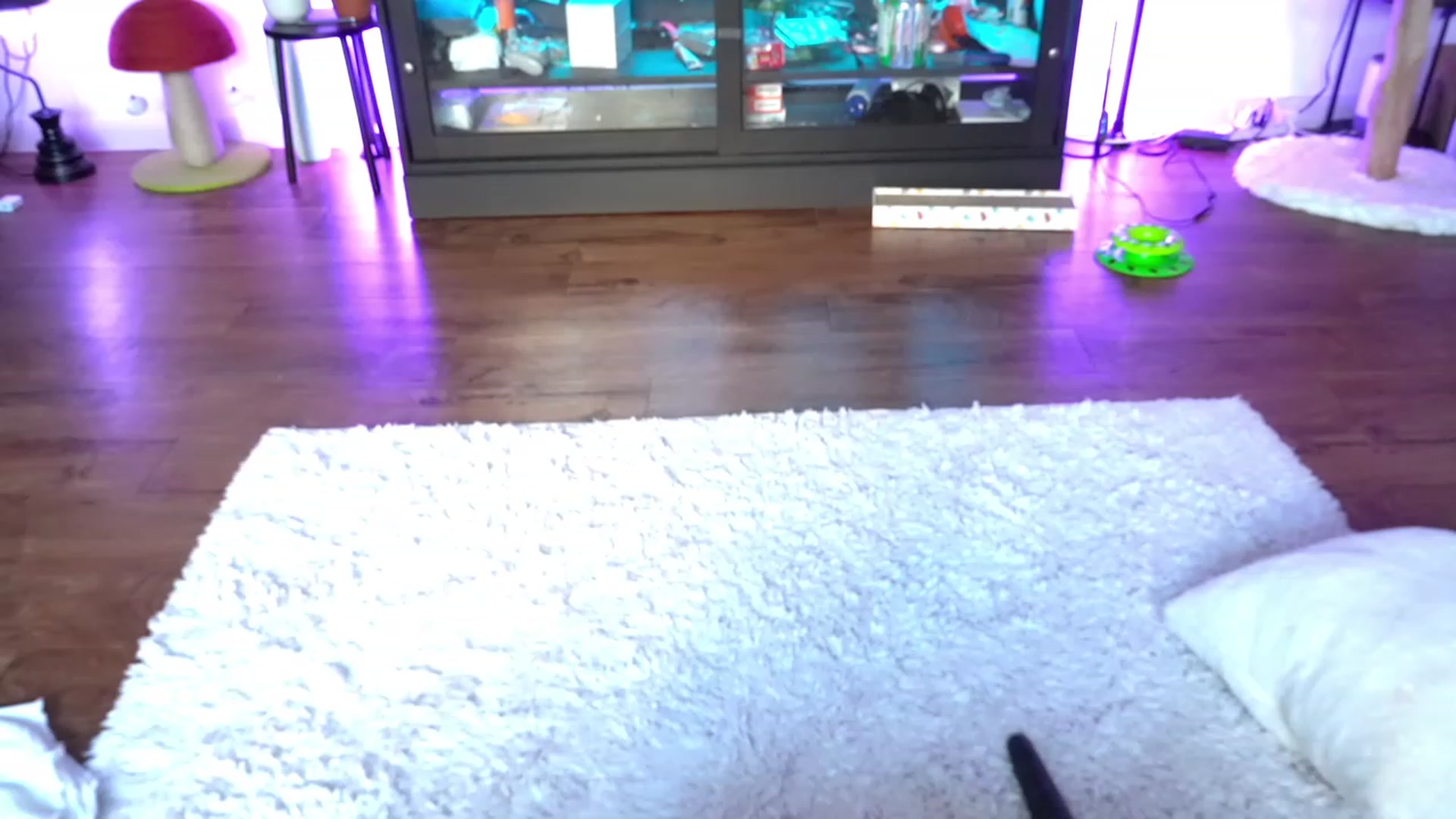 Gallery image thumbnail from Reige's myfreecams stream on, 09/22/2023, 13:56 image 5 of 20