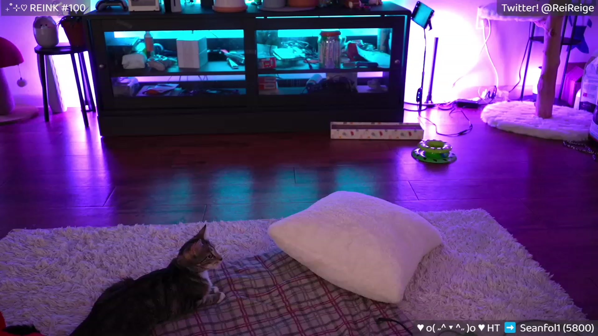 Gallery image thumbnail from Reige's myfreecams stream on, 09/24/2023, 10:58 image 16 of 20