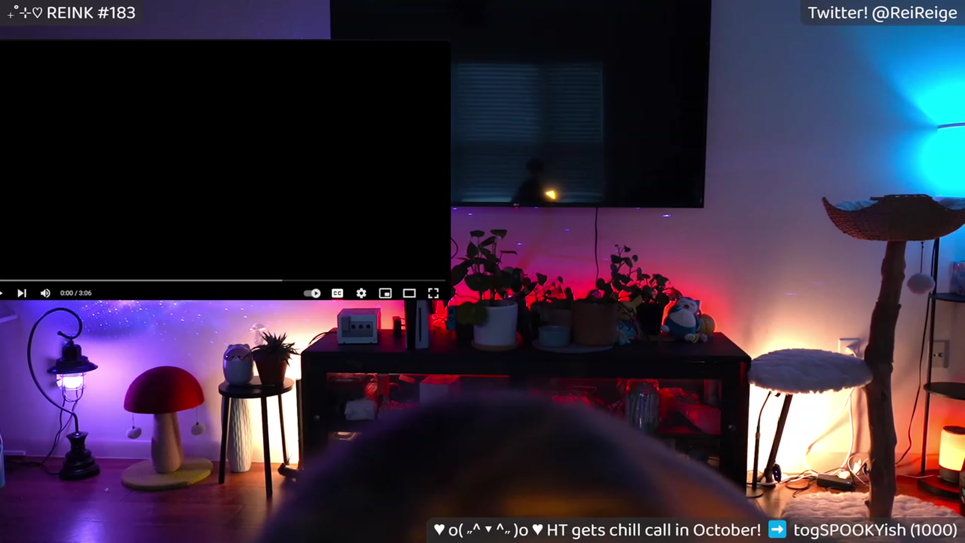 Gallery image thumbnail from Reige's myfreecams stream on, 10/04/2023, 12:56 image 9 of 20