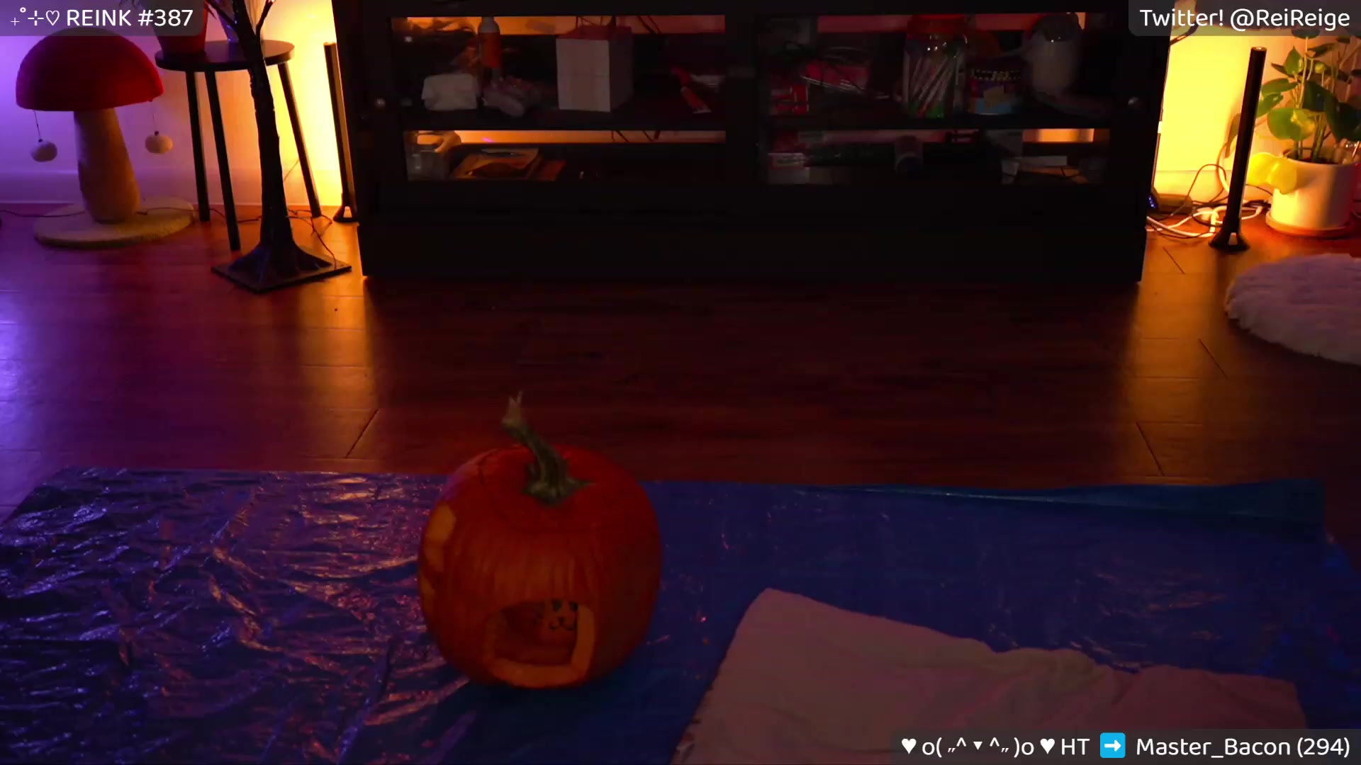 Gallery image thumbnail from Reige's myfreecams stream on, 10/30/2023, 09:40 image 17 of 20