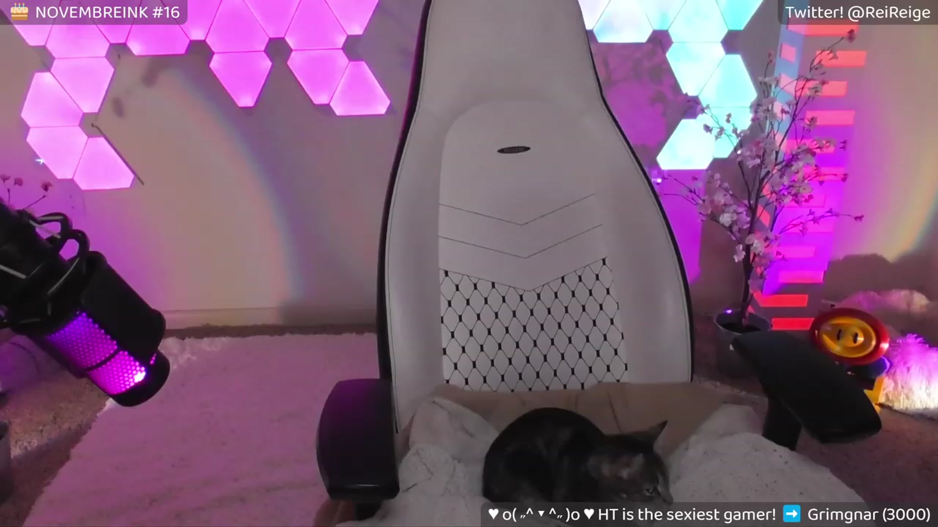 Gallery image thumbnail from Reige's myfreecams stream on, 11/09/2023, 12:51 image 17 of 20