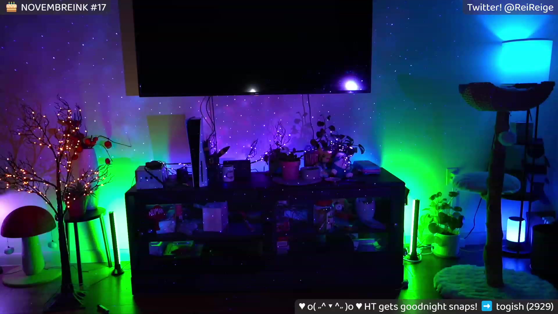 Gallery image thumbnail from Reige's myfreecams stream on, 11/11/2023, 12:54 image 15 of 20