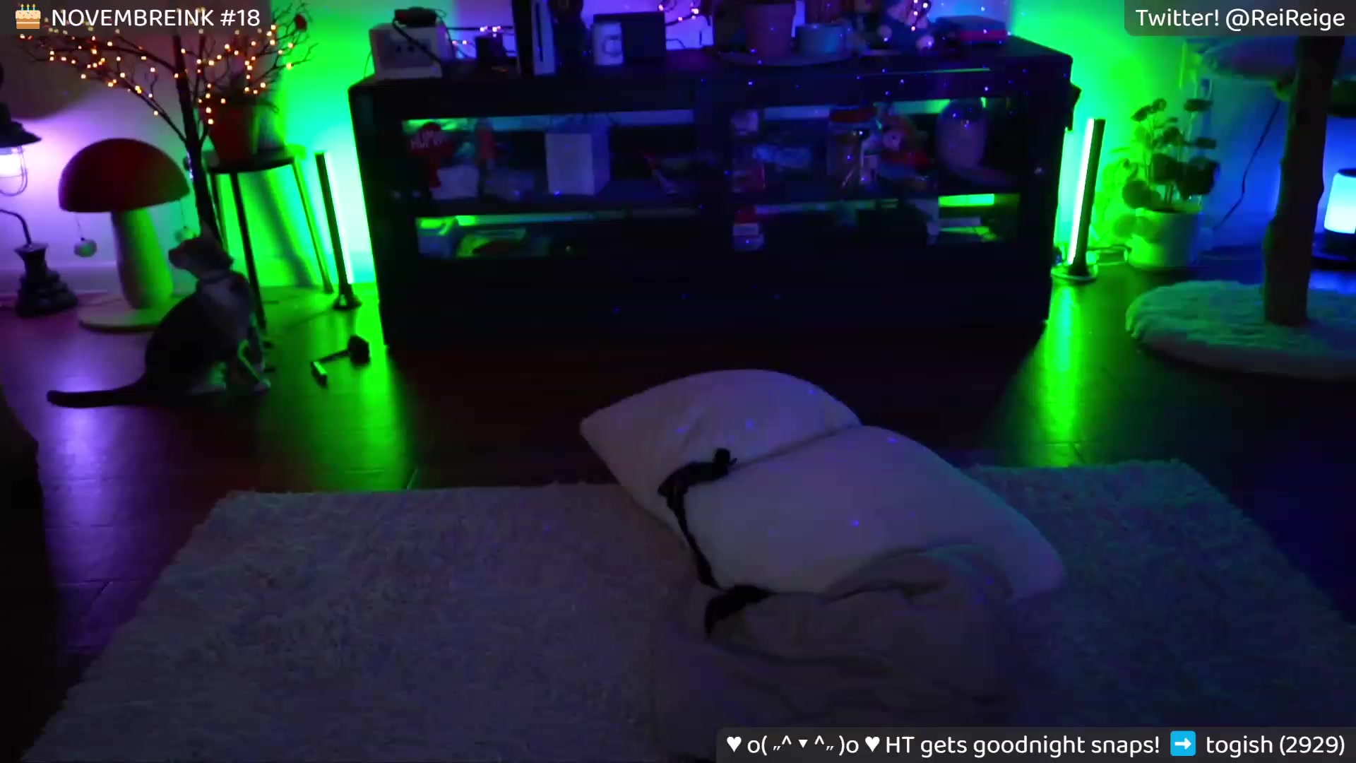 Gallery image thumbnail from Reige's myfreecams stream on, 11/11/2023, 13:54 image 5 of 20