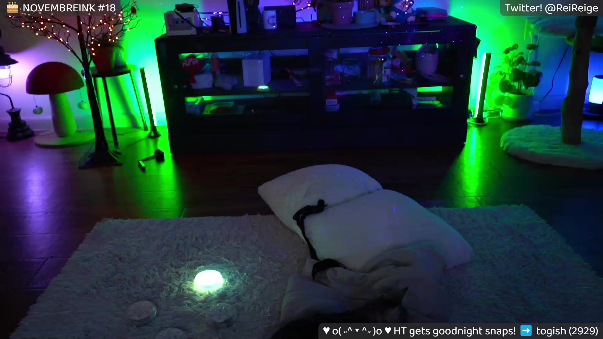 Gallery image thumbnail from Reige's myfreecams stream on, 11/11/2023, 13:54 image 9 of 20