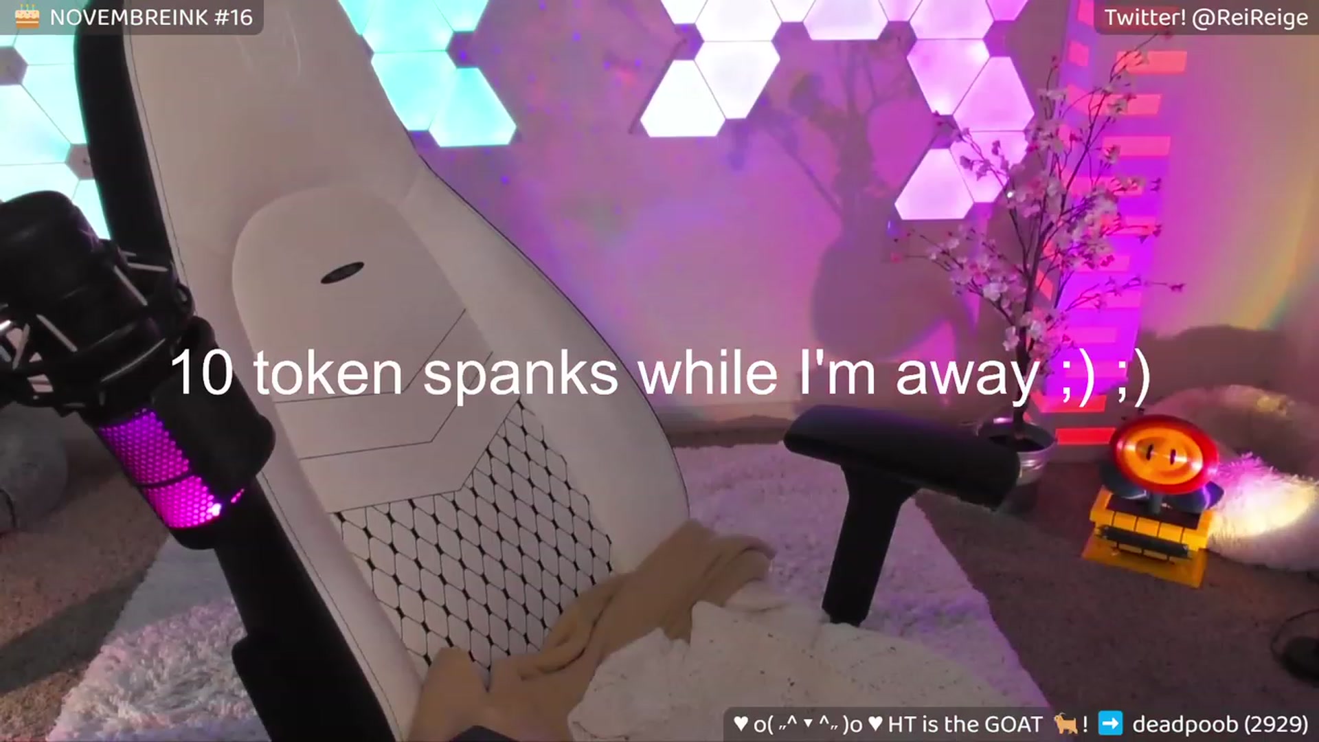 Gallery image thumbnail from Reige's myfreecams stream on, 11/16/2023, 11:13 image 18 of 20