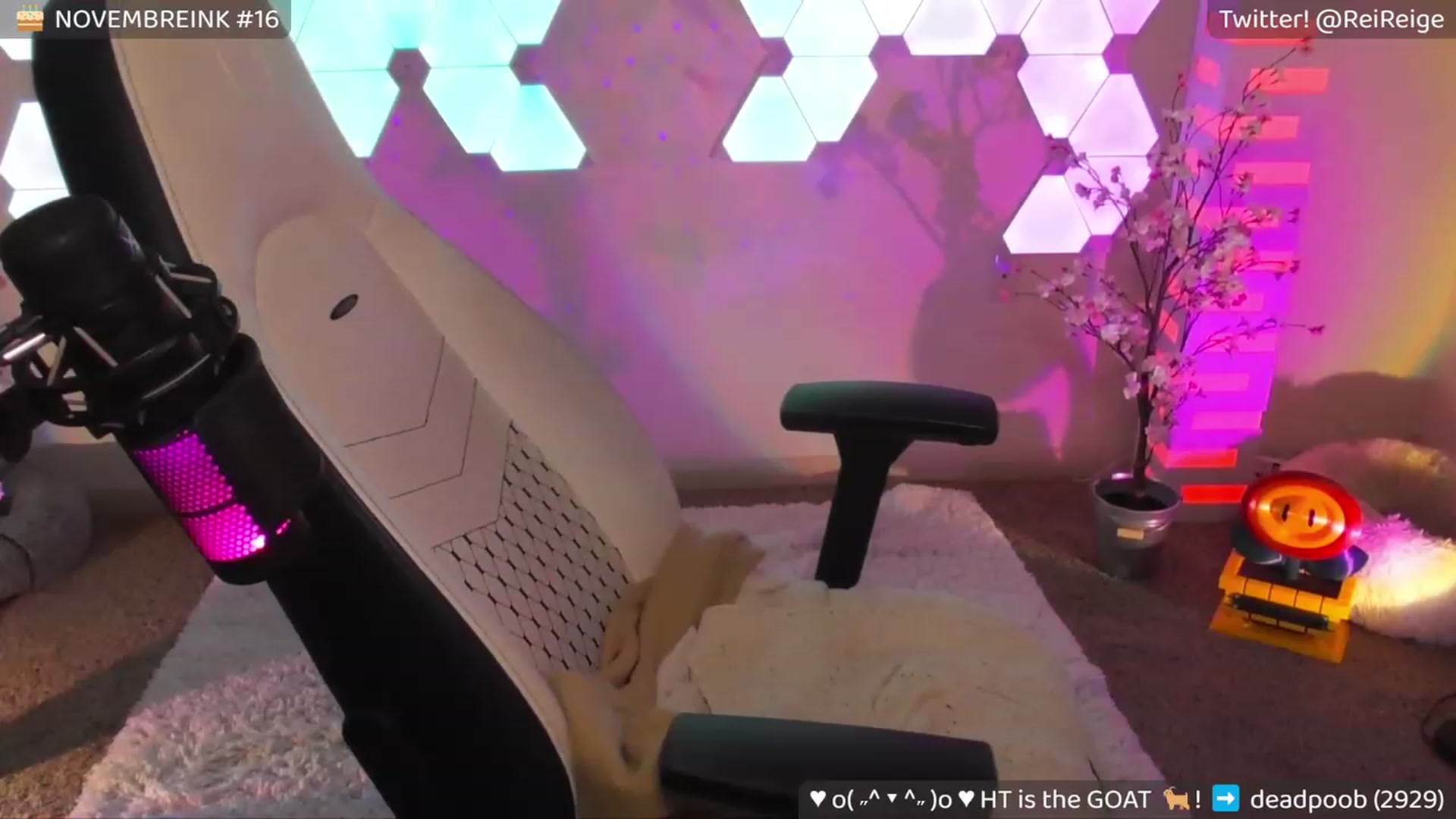Gallery image thumbnail from Reige's myfreecams stream on, 11/16/2023, 12:27 image 9 of 20