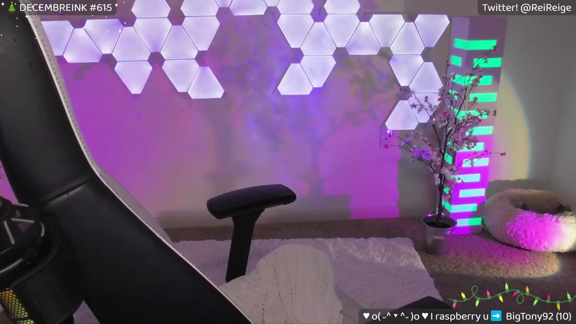 Gallery image thumbnail from Reige's myfreecams stream on, 12/31/2023, 09:04 image 14 of 20