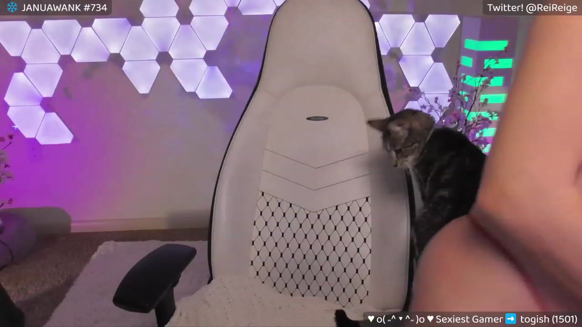 Gallery image thumbnail from Reige's myfreecams stream on, 01/06/2024, 12:33 image 17 of 20