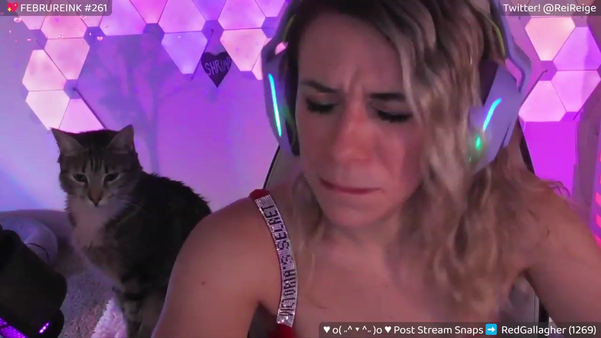 Gallery image thumbnail from Reige's myfreecams stream on, 02/07/2024, 12:17 image 14 of 20