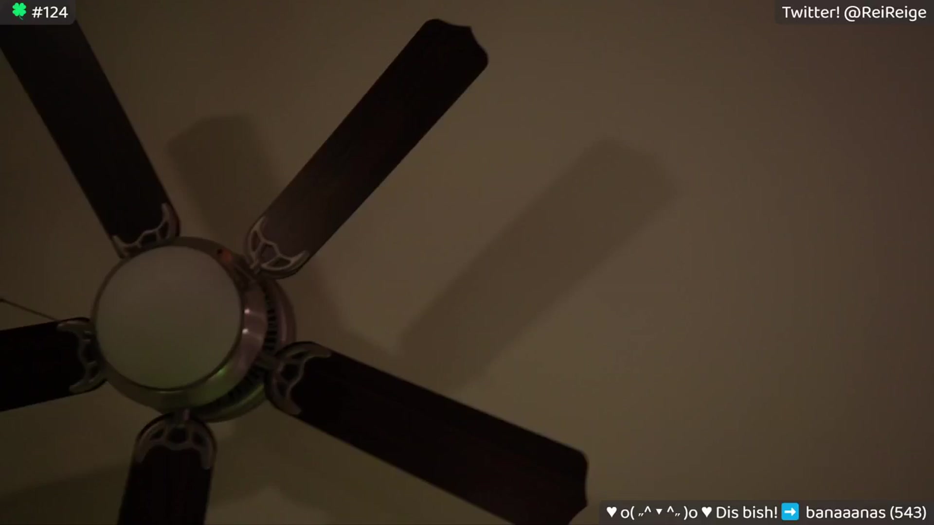 Gallery image thumbnail from Reige's myfreecams stream on, 03/17/2024, 12:02 image 15 of 20