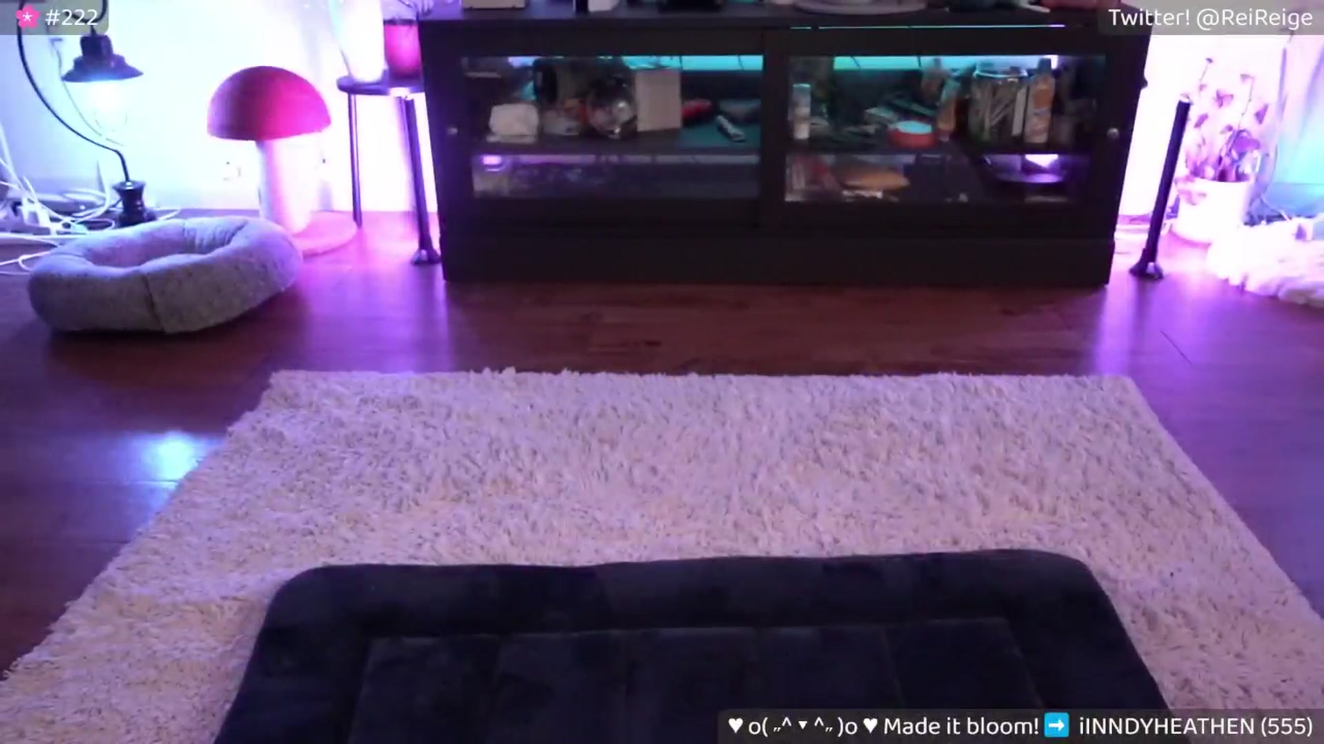 Gallery image thumbnail from Reige's myfreecams stream on, 05/04/2024, 10:44 image 15 of 20