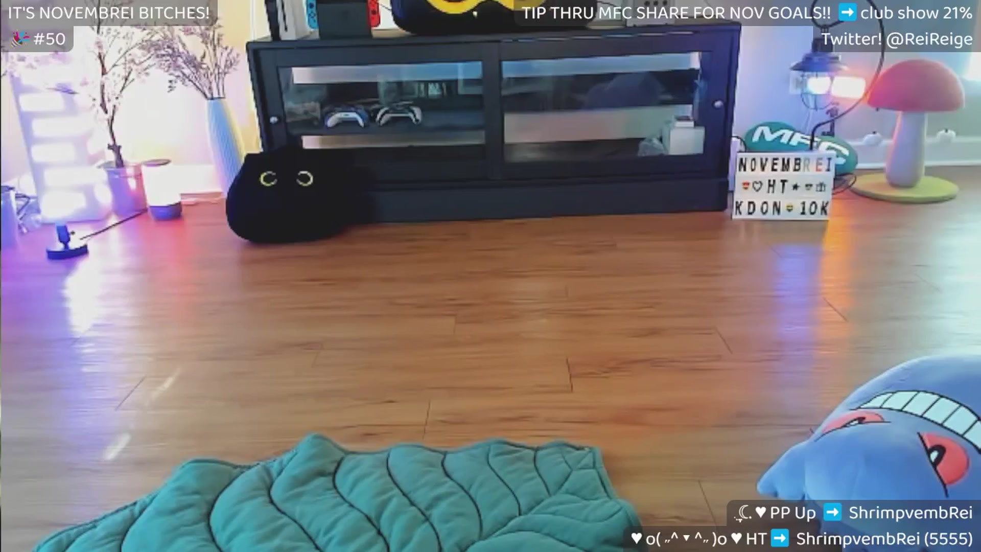 Gallery image thumbnail from Reige's myfreecams stream on, 11/19/2024, 16:17 image 17 of 20