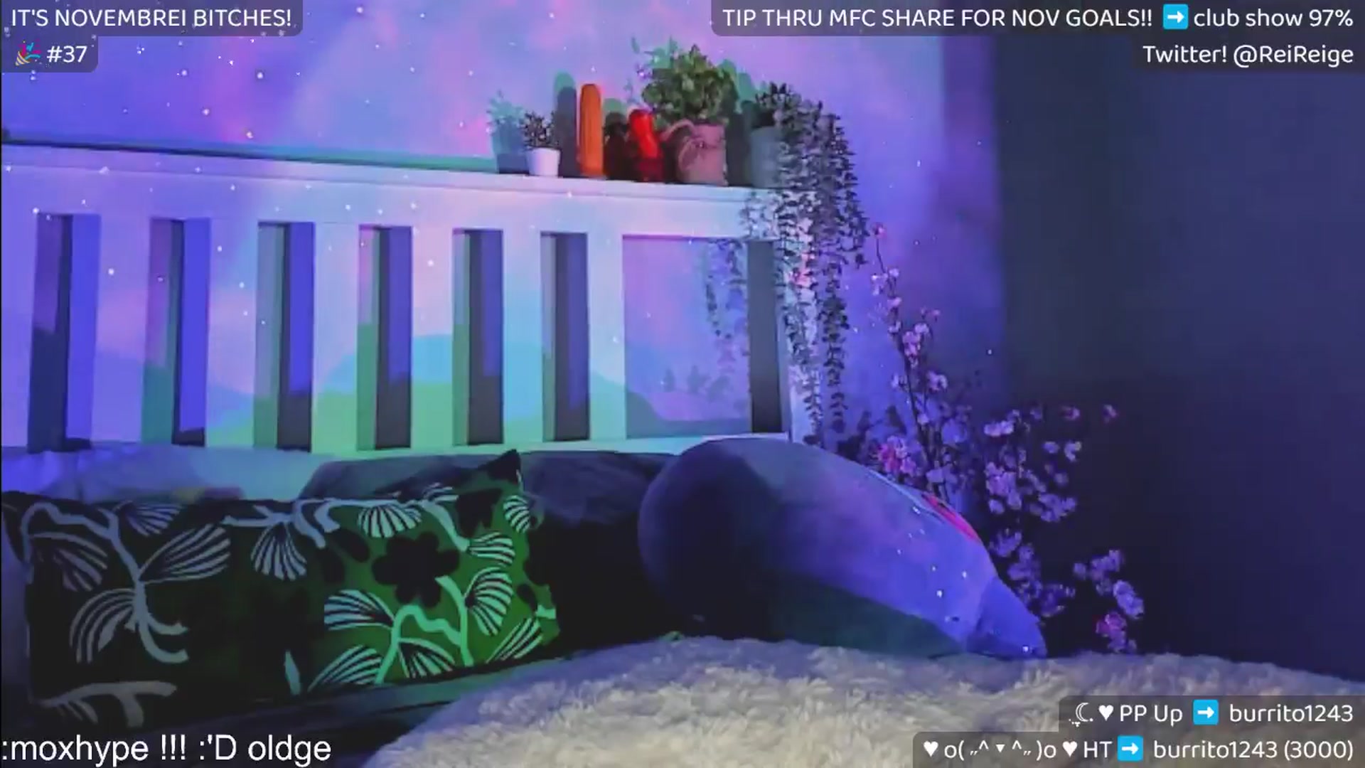 Gallery image thumbnail from Reige's myfreecams stream on, 11/22/2024, 15:14 image 13 of 20