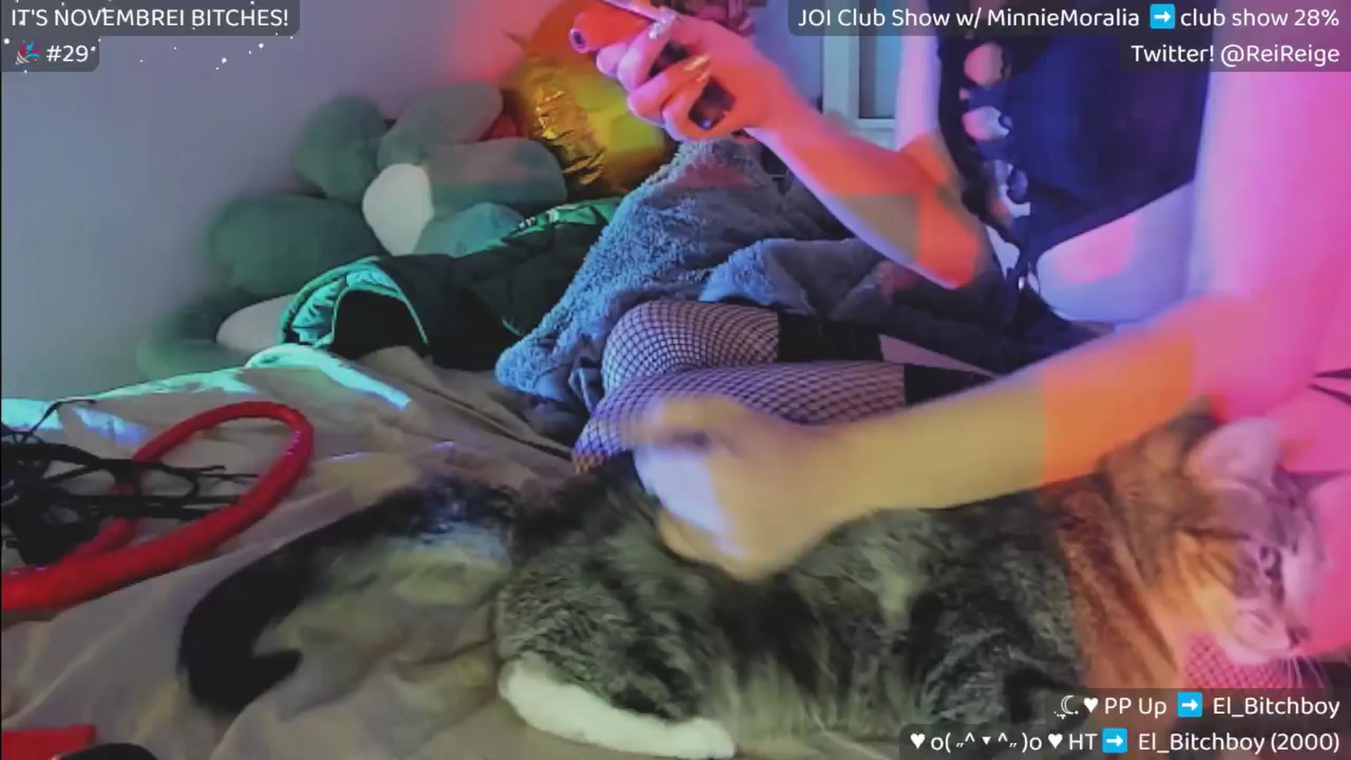 Gallery image thumbnail from Reige's myfreecams stream on, 11/26/2024, 17:09 image 1 of 20