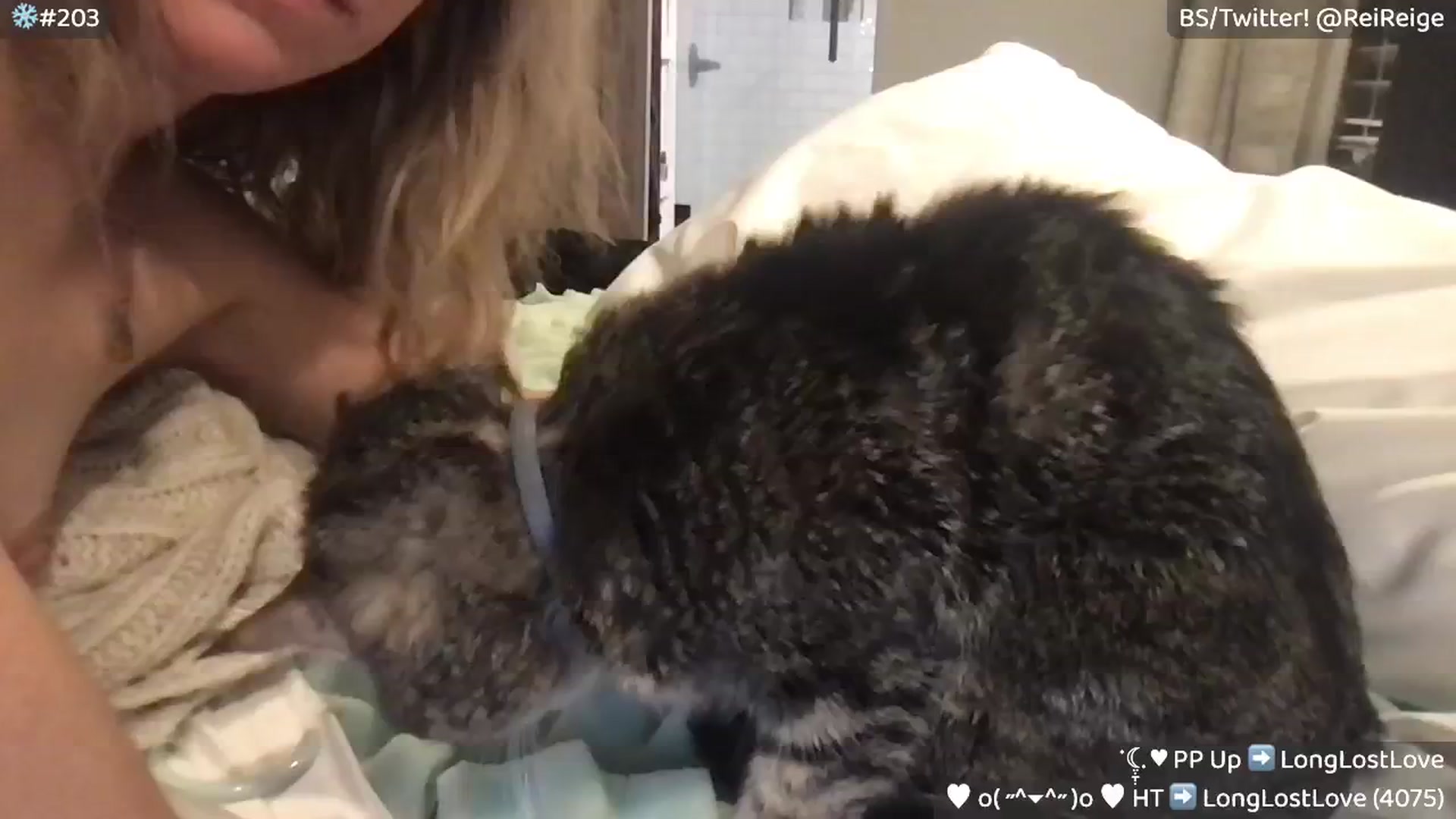Gallery image thumbnail from Reige's myfreecams stream on, 01/18/2025, 12:29 image 7 of 20