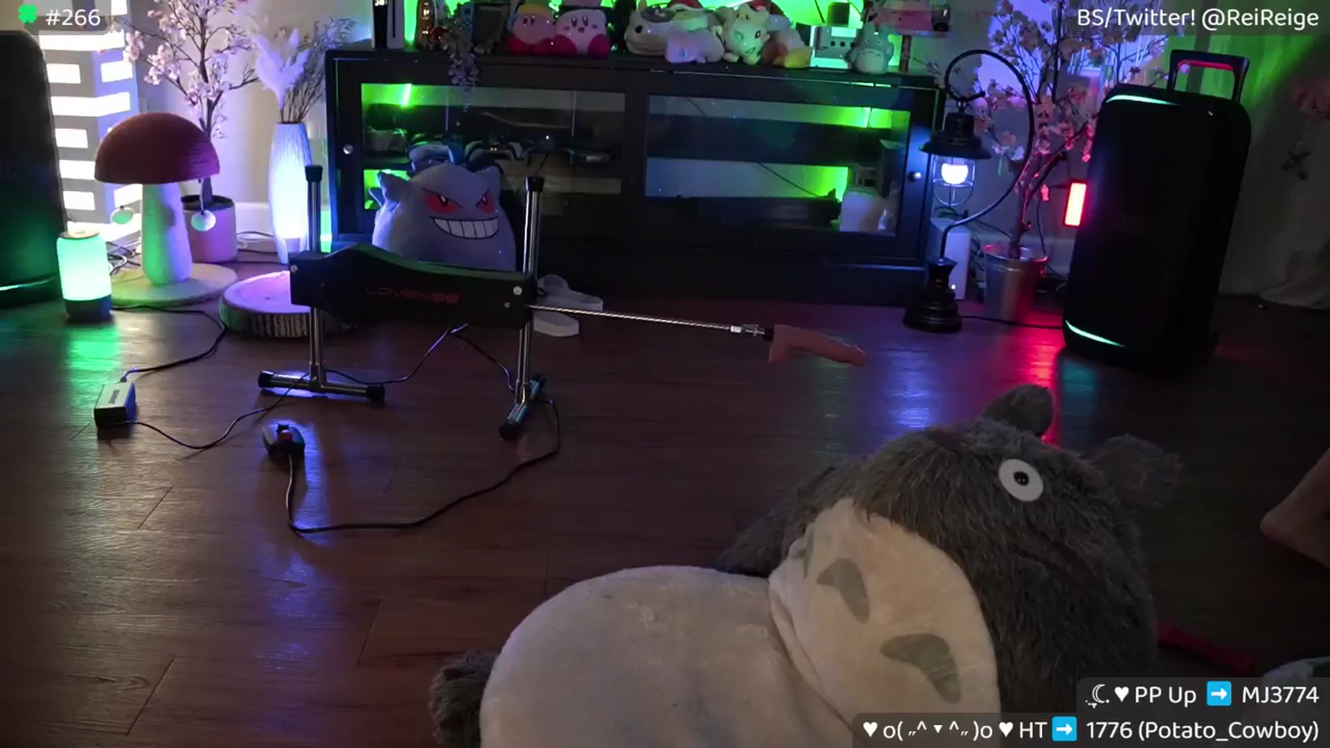 Gallery image thumbnail from Reige's myfreecams stream on, 03/08/2025, 11:56 image 20 of 20