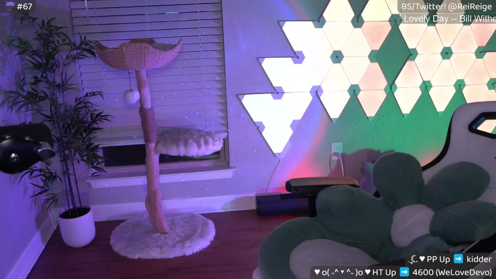 Gallery image thumbnail from Reige's myfreecams stream on, 04/13/2025, 08:35 image 4 of 20
