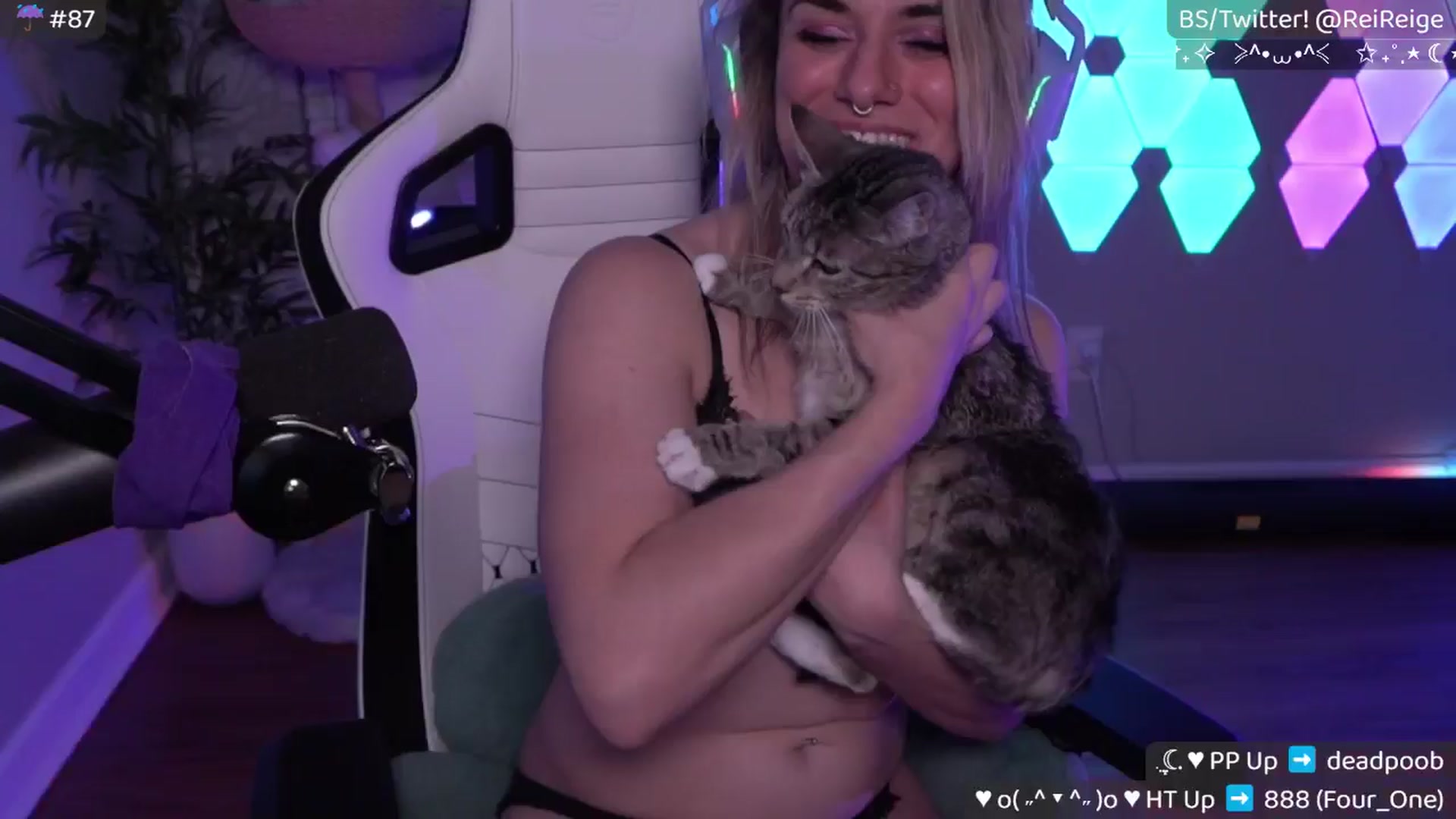 Gallery image thumbnail from Reige's myfreecams stream on, 04/24/2025, 11:21 image 15 of 20