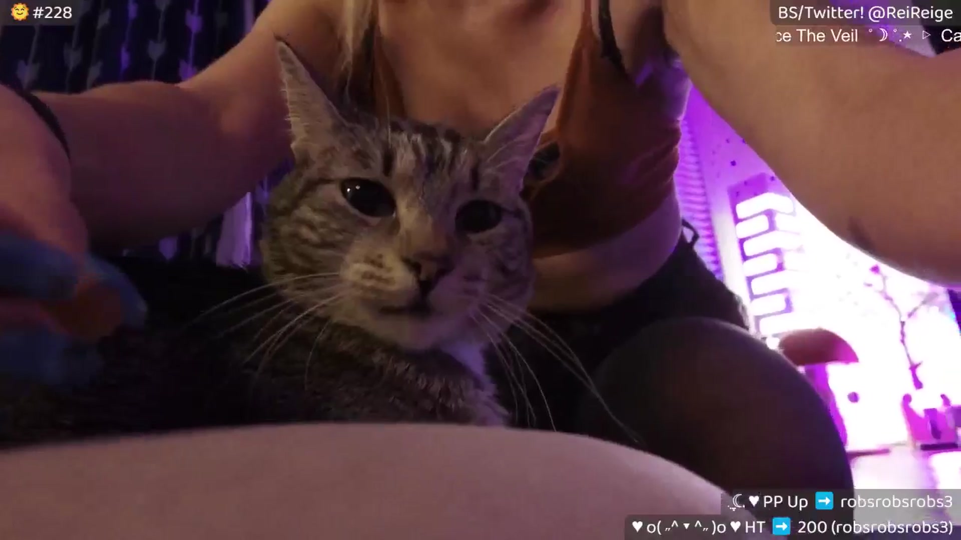 Gallery image thumbnail from Reige's myfreecams stream on, 07/11/2025, 12:53 image 12 of 20