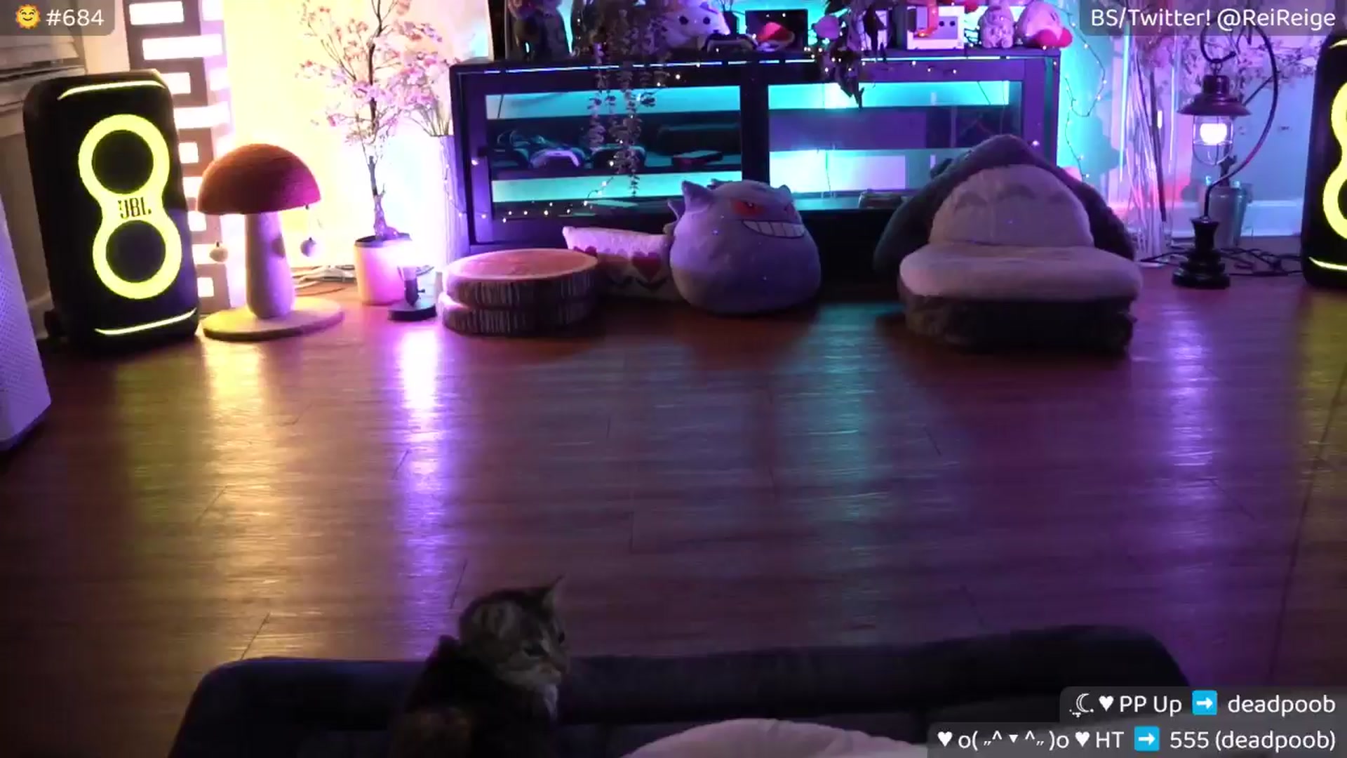 Gallery image thumbnail from Reige's myfreecams stream on, 08/16/2025, 12:43 image 3 of 20