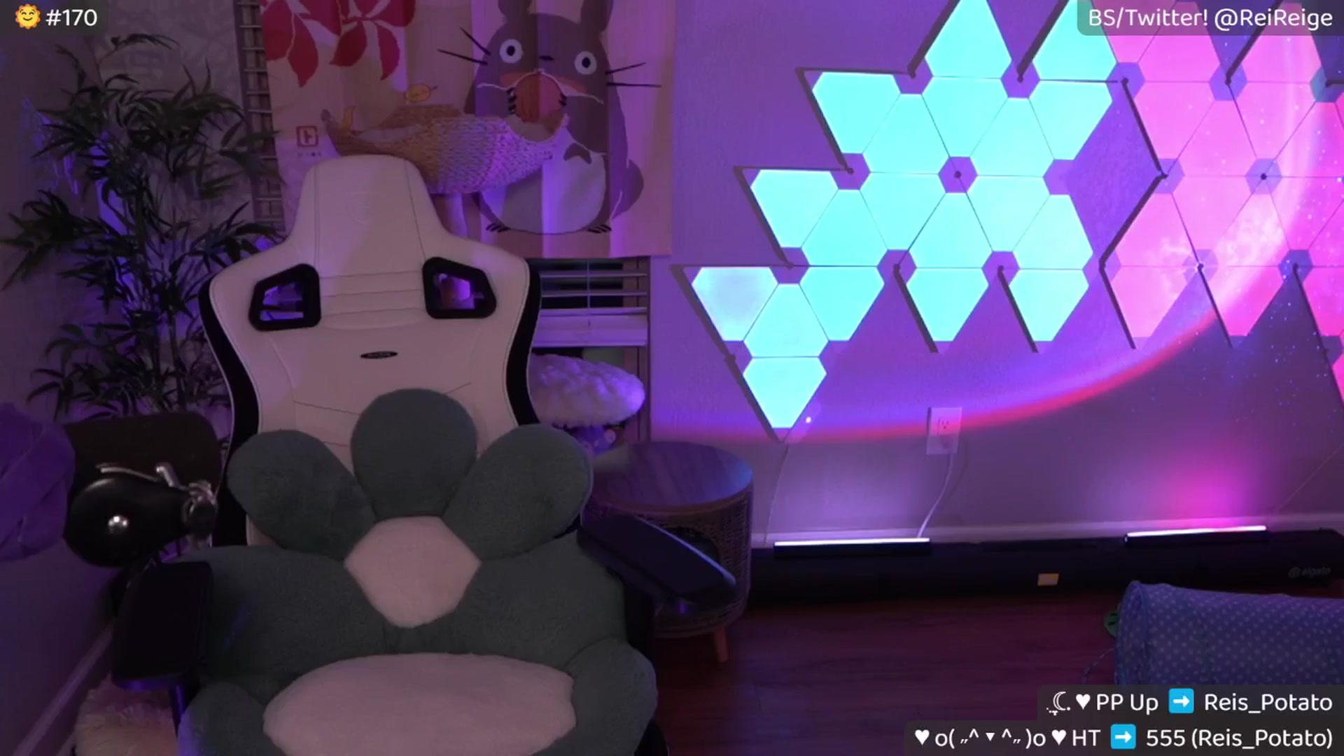 Gallery image thumbnail from Reige's myfreecams stream on, 09/01/2025, 11:58 image 17 of 20