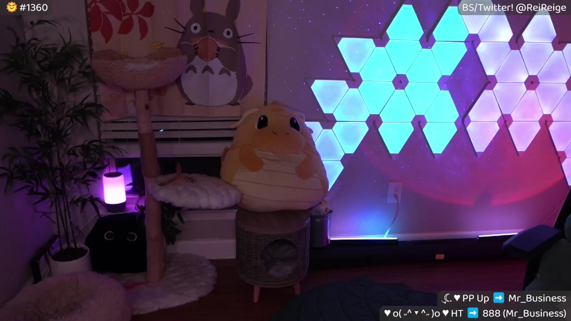 Gallery image thumbnail from Reige's myfreecams stream on, 09/13/2025, 10:25 image 16 of 20