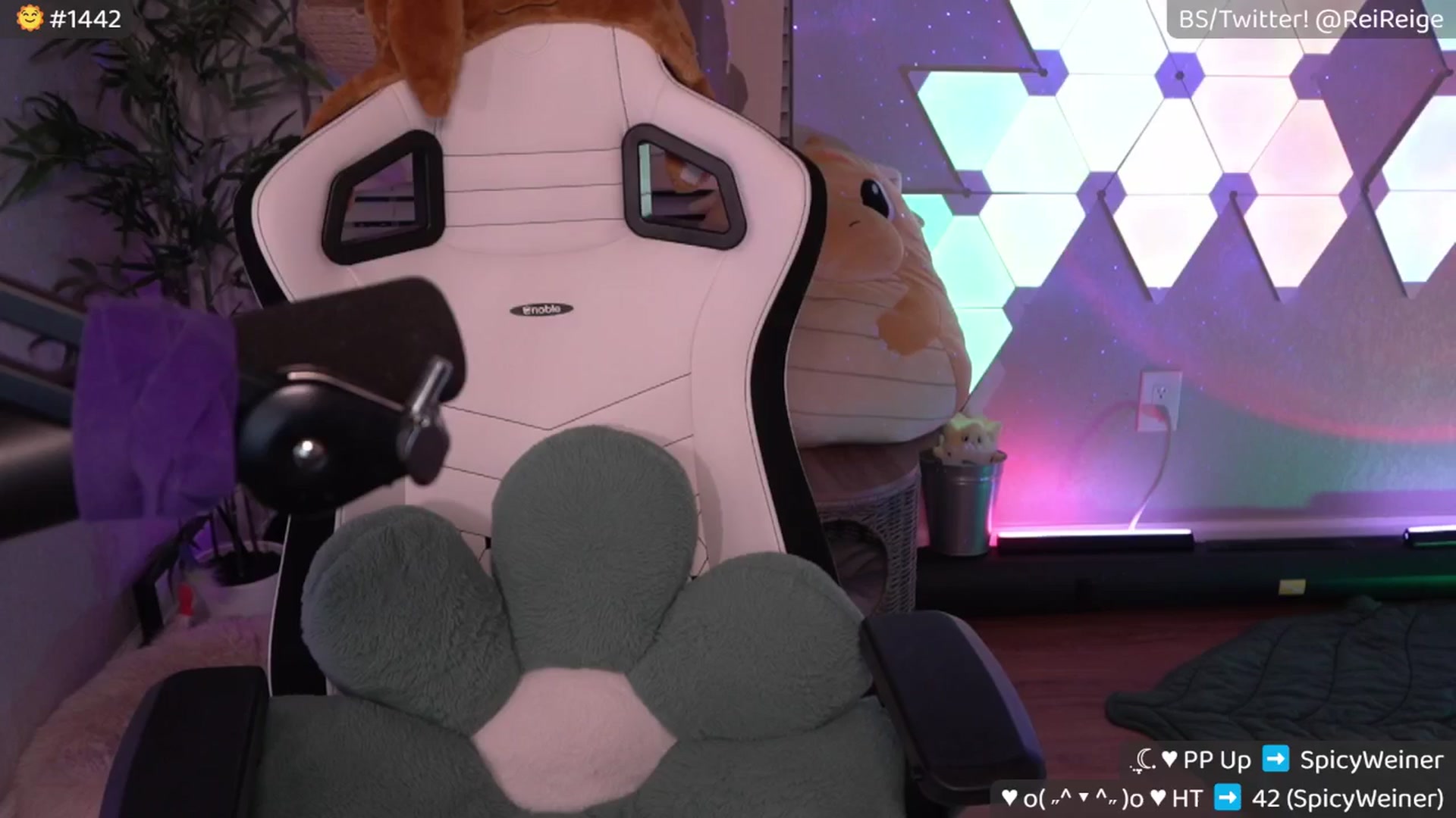 Gallery image thumbnail from Reige's myfreecams stream on, 09/16/2025, 09:35 image 3 of 20