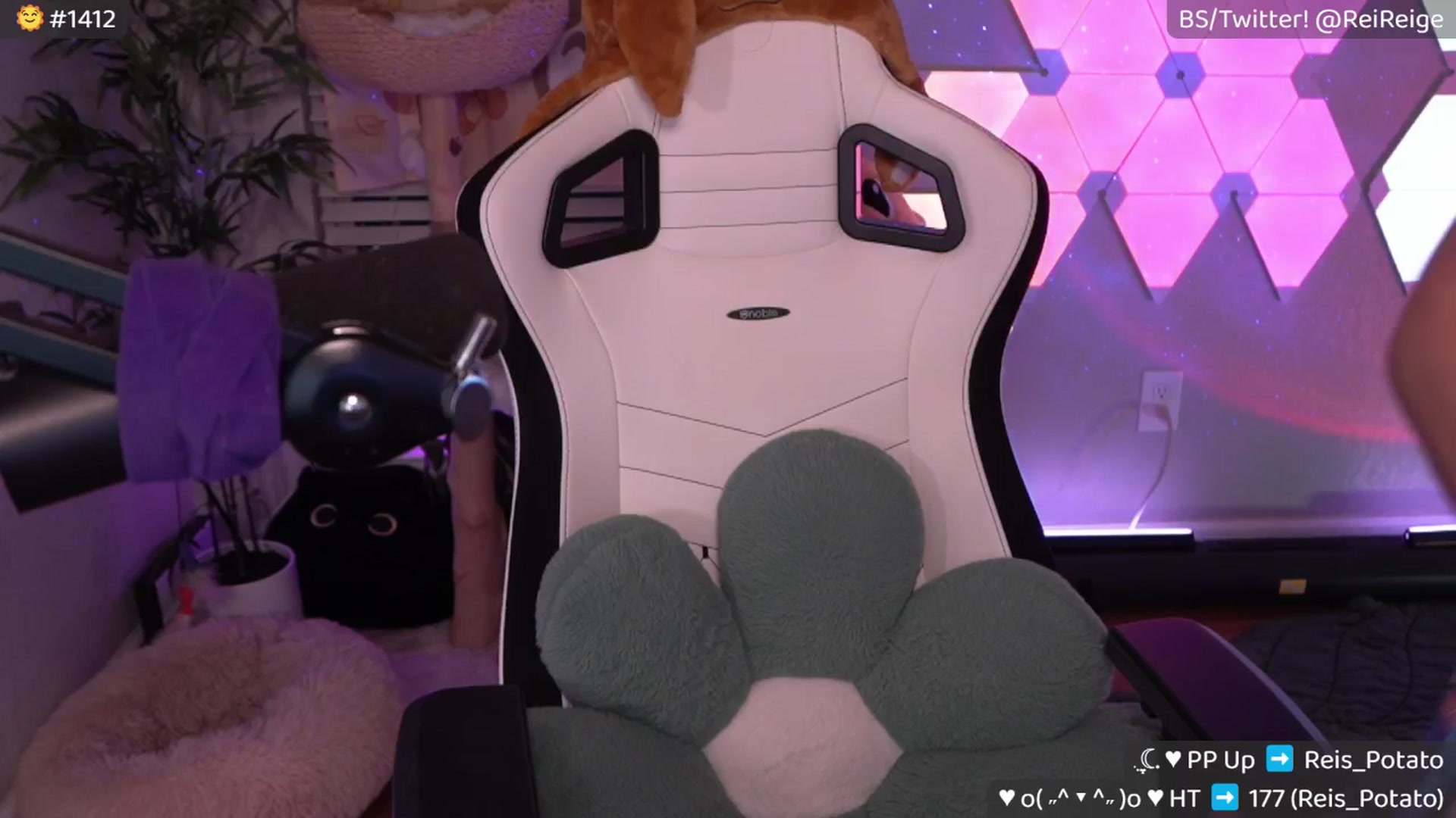 Gallery image thumbnail from Reige's myfreecams stream on, 09/16/2025, 09:35 image 5 of 20