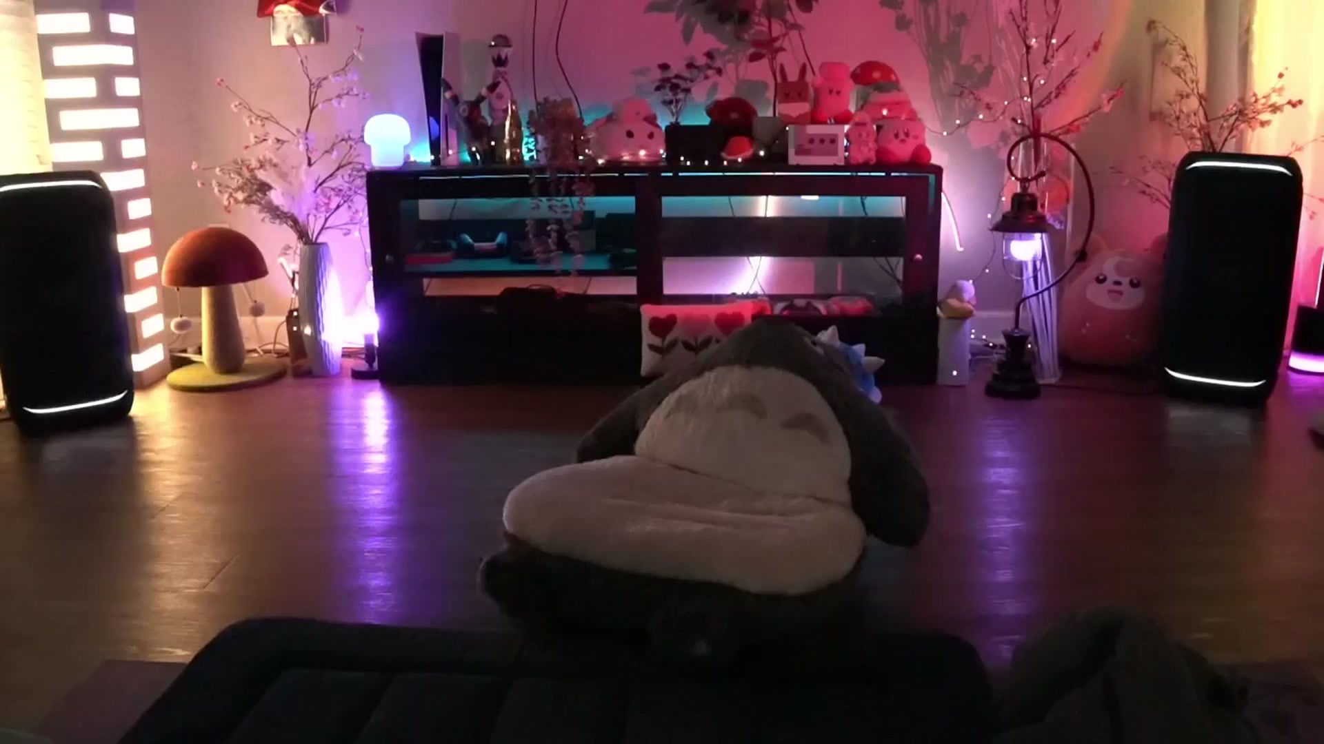 Gallery image thumbnail from Reige's myfreecams stream on, 11/06/2025, 13:51 image 11 of 20
