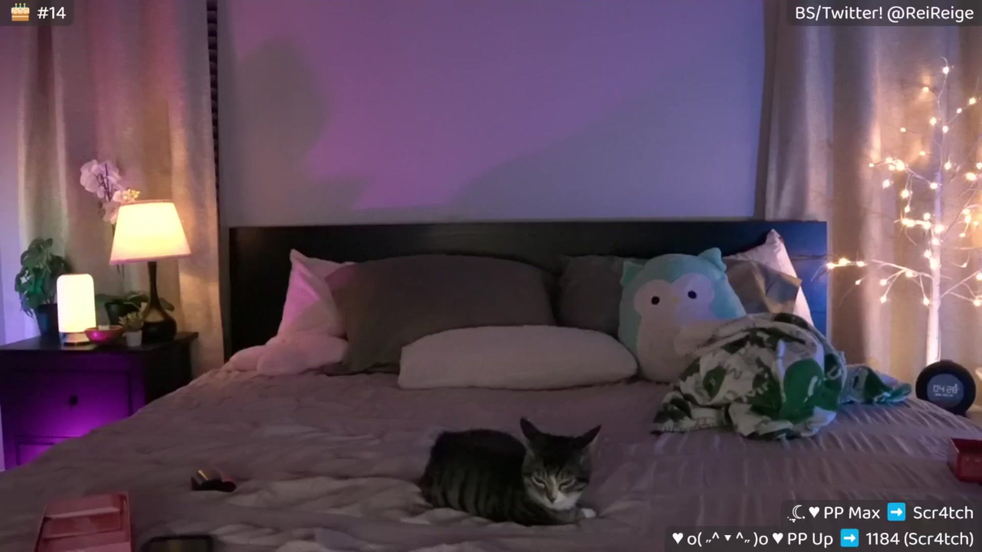 Gallery image thumbnail from Reige's myfreecams stream on, 11/09/2025, 13:21 image 7 of 20