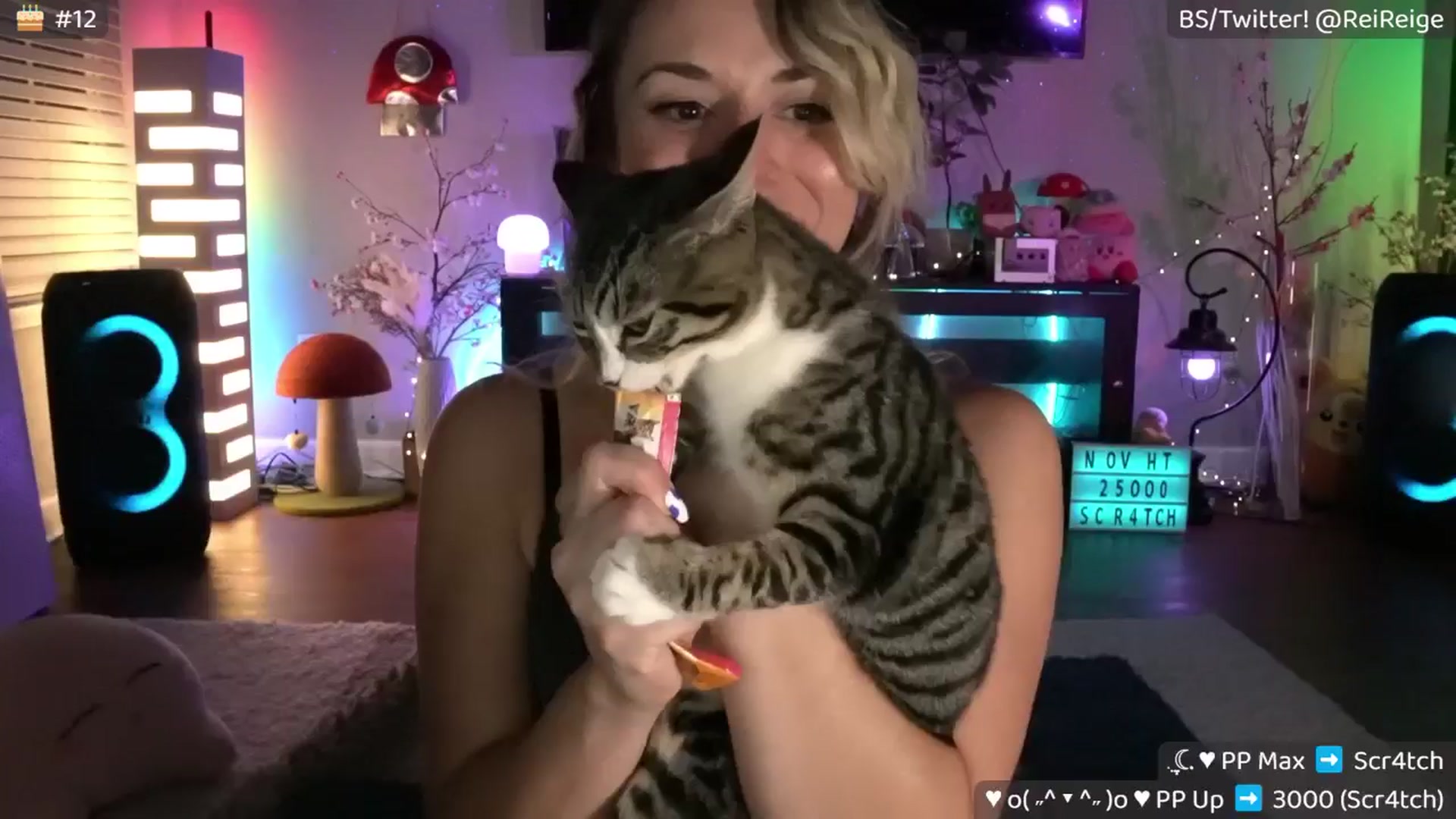 Gallery image thumbnail from Reige's myfreecams stream on, 11/25/2025, 14:18 image 2 of 20