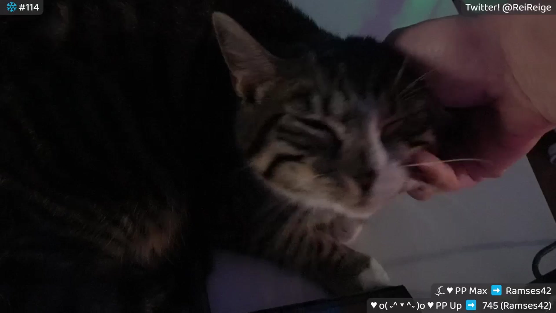 Gallery image thumbnail from Reige's myfreecams stream on, 01/15/2026, 11:57 image 11 of 20