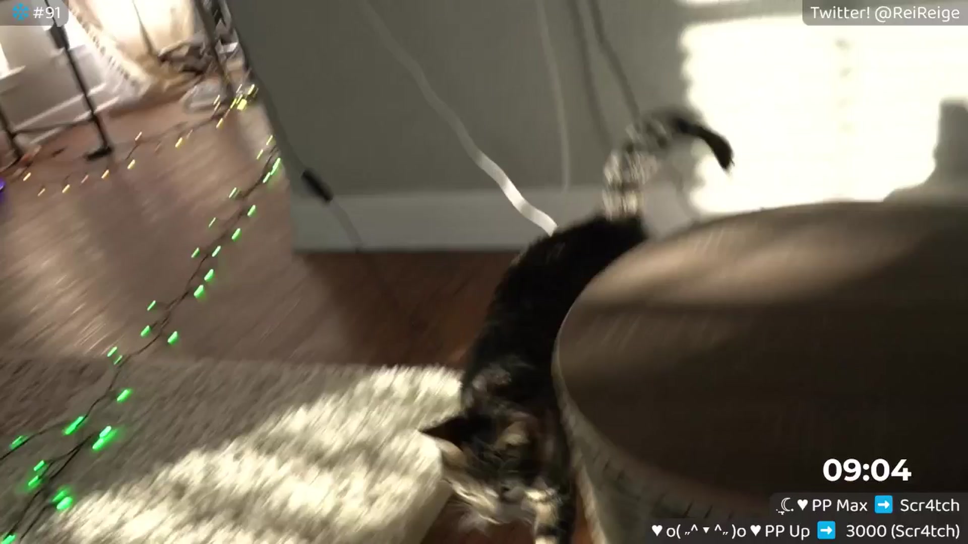 Gallery image thumbnail from Reige's myfreecams stream on, 01/17/2026, 15:08 image 14 of 20