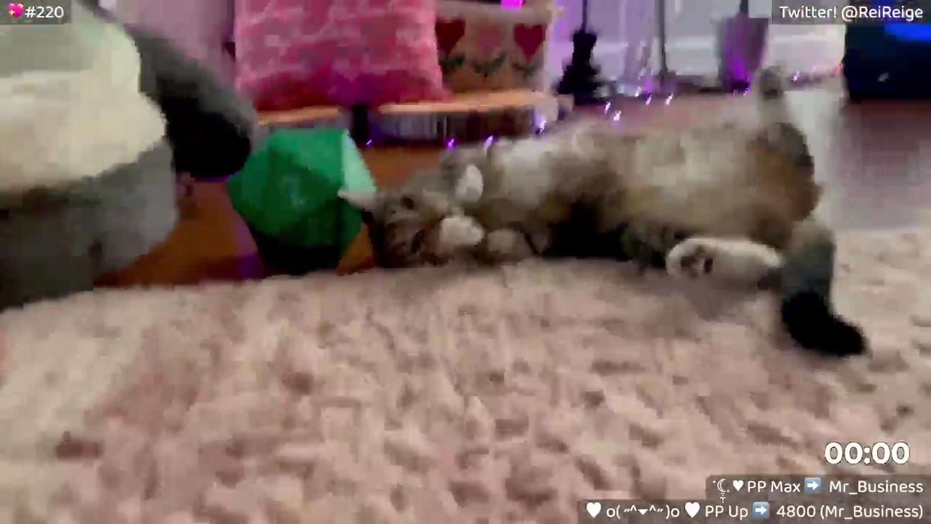 Gallery image thumbnail from Reige's myfreecams stream on, 02/15/2026, 16:39 image 16 of 20