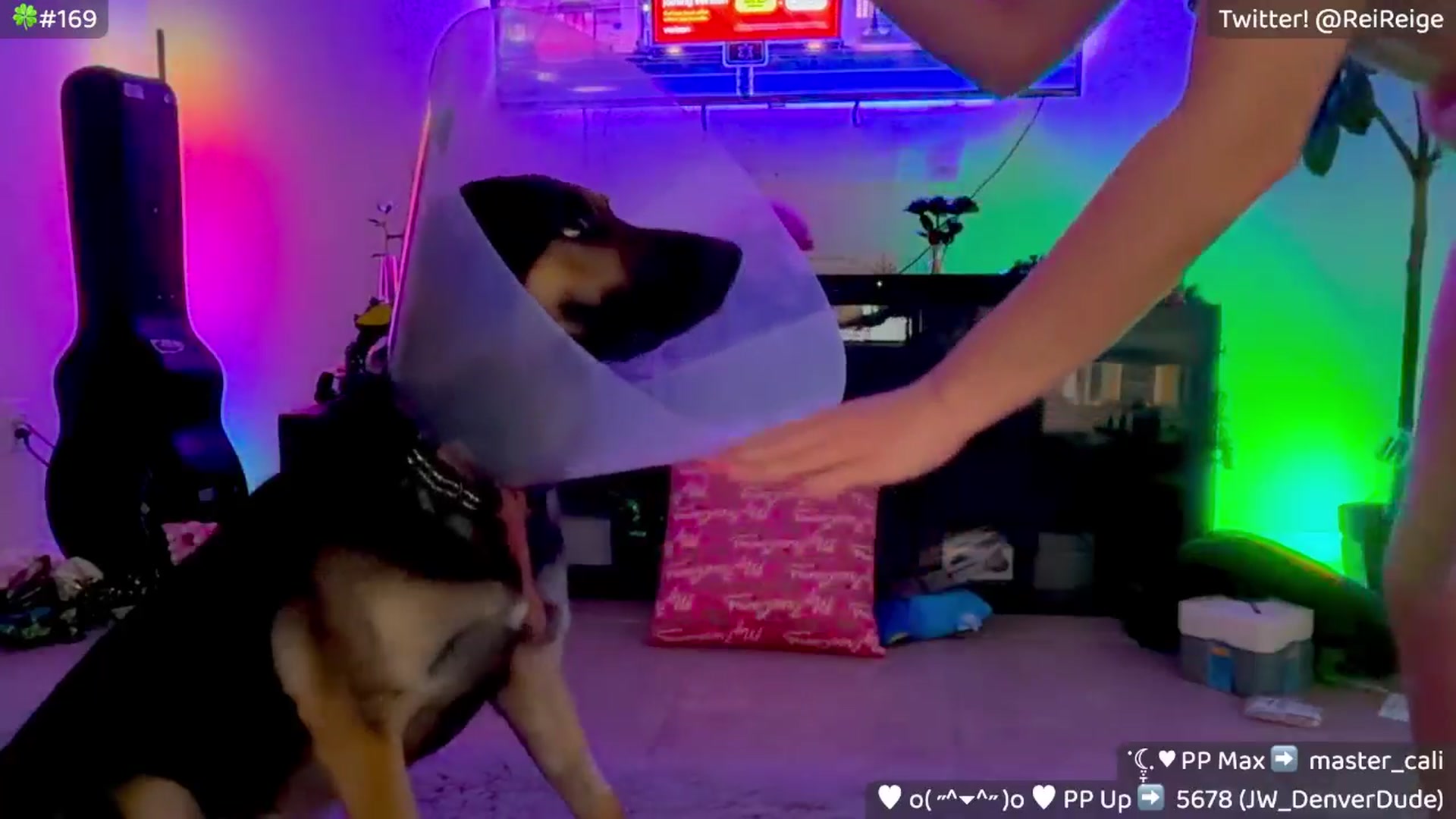 Gallery image thumbnail from Reige's myfreecams stream on, 03/08/2026, 13:38 image 18 of 20