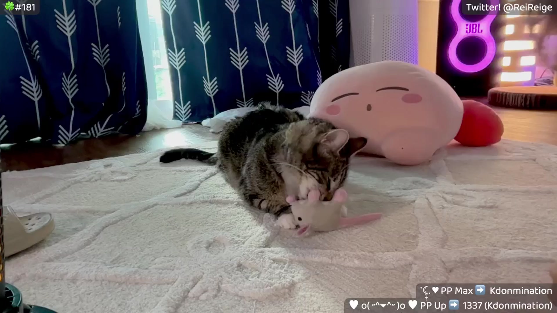 Gallery image thumbnail from Reige's myfreecams stream on, 03/13/2026, 13:24 image 19 of 20