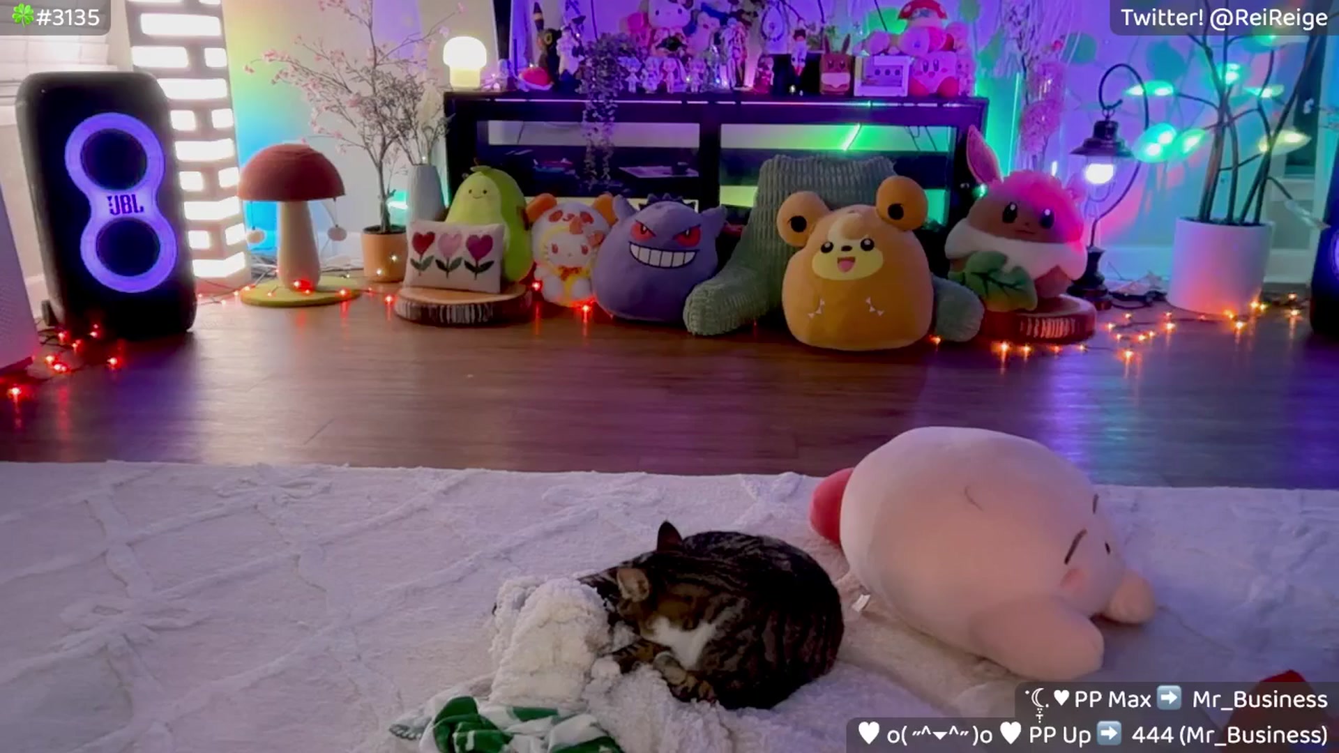 Gallery image thumbnail from Reige's myfreecams stream on, 04/12/2026, 11:54 image 14 of 20