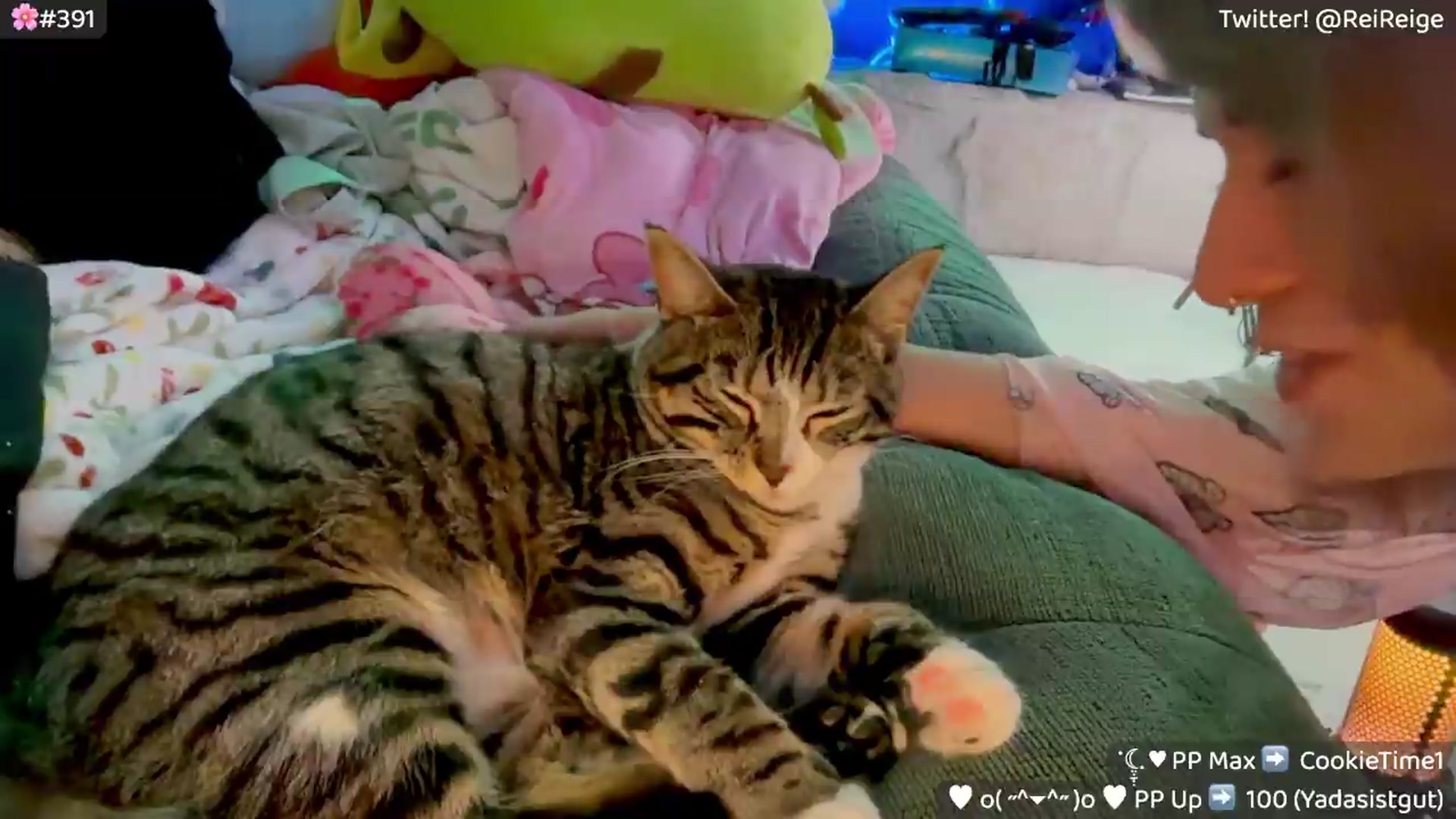 Gallery image thumbnail from Reige's myfreecams stream on, 05/04/2026, 08:03 image 12 of 20