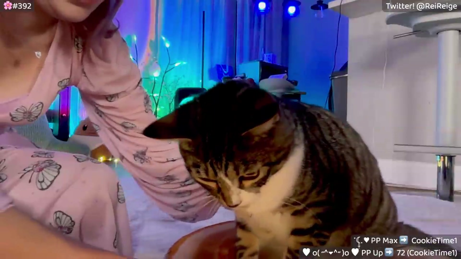 Gallery image thumbnail from Reige's myfreecams stream on, 05/04/2026, 08:03 image 4 of 20