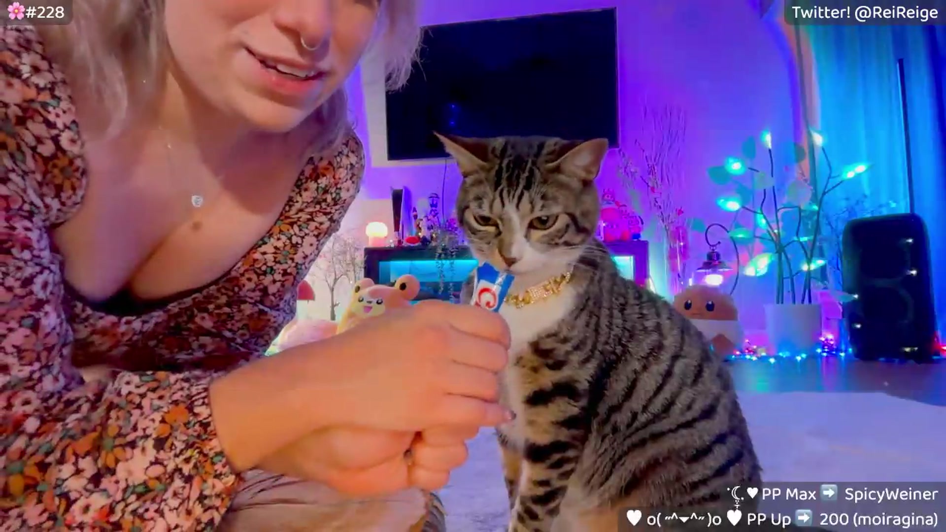 Gallery image thumbnail from Reige's myfreecams stream on, 05/25/2026, 12:13 image 4 of 20