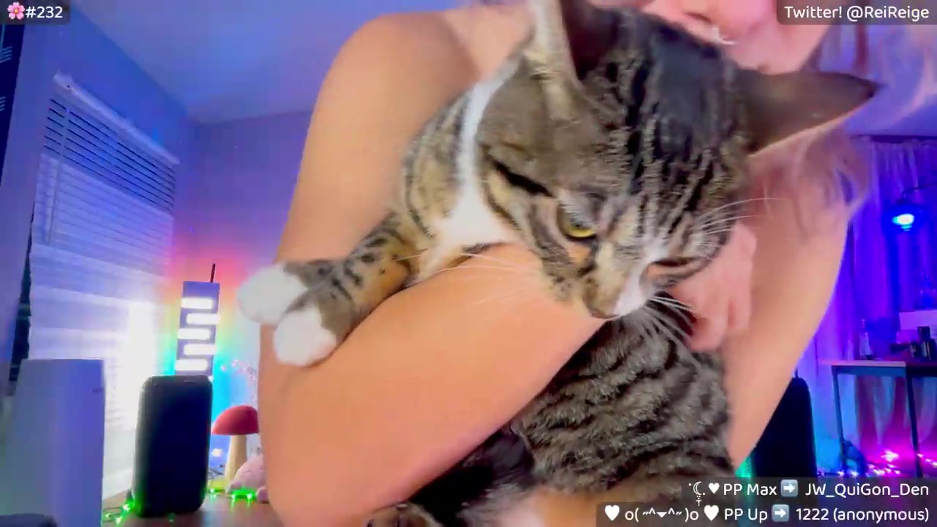 Gallery image thumbnail from Reige's myfreecams stream on, 05/28/2026, 10:21 image 11 of 20