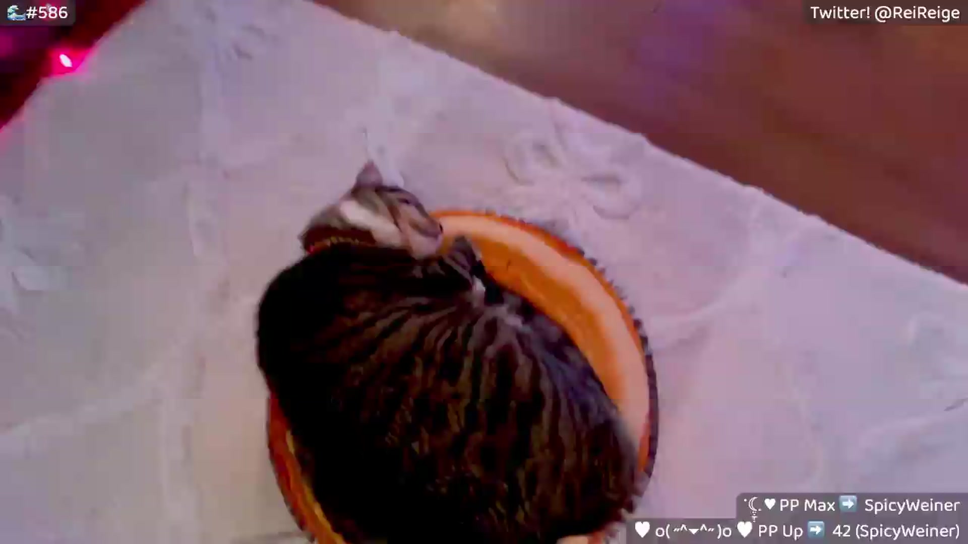Gallery image thumbnail from Reige's myfreecams stream on, 07/09/2026, 09:55 image 5 of 20