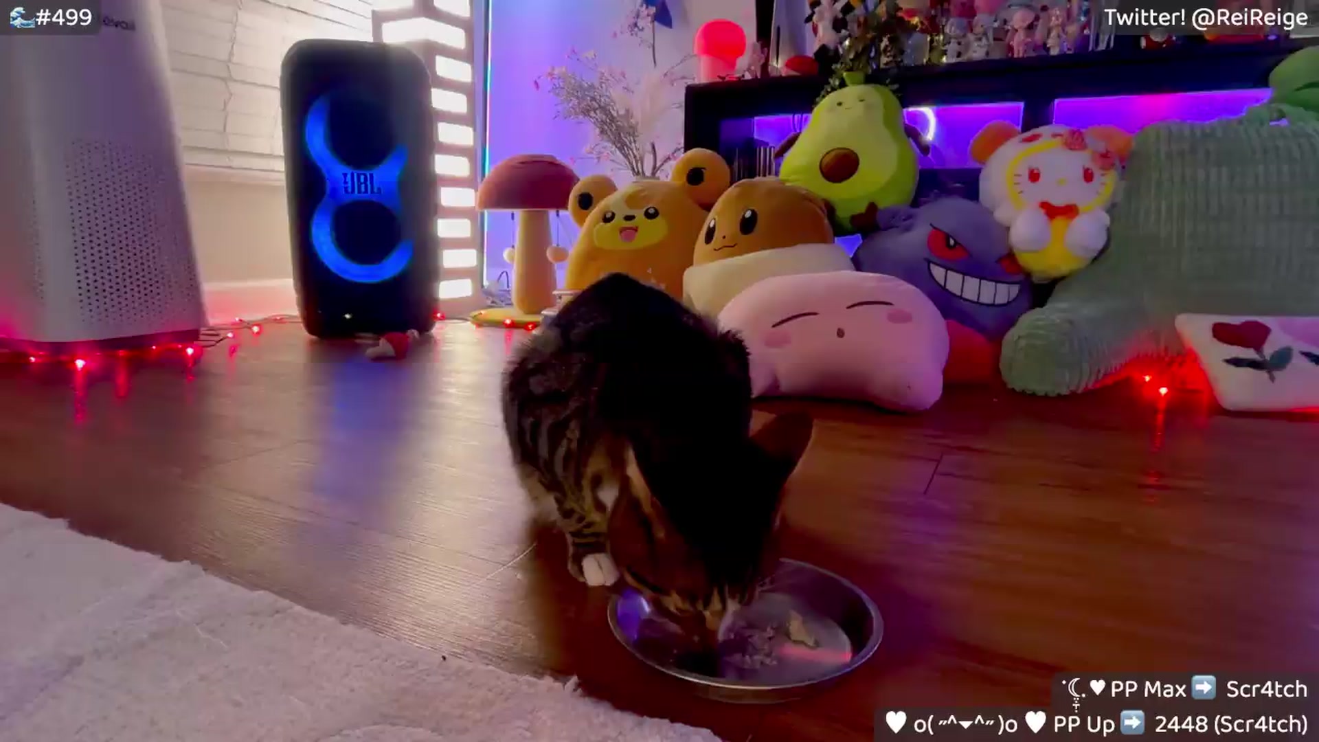 Gallery image thumbnail from Reige's myfreecams stream on, 07/11/2026, 12:02 image 14 of 20