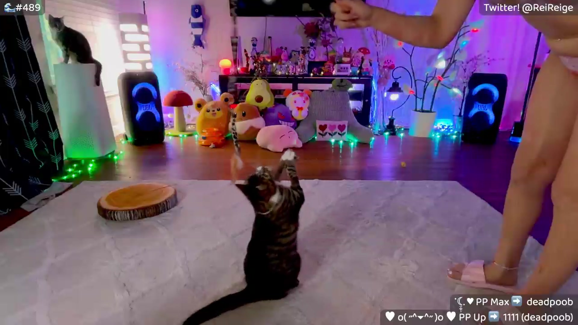 Gallery image thumbnail from Reige's myfreecams stream on, 07/12/2026, 12:59 image 17 of 20