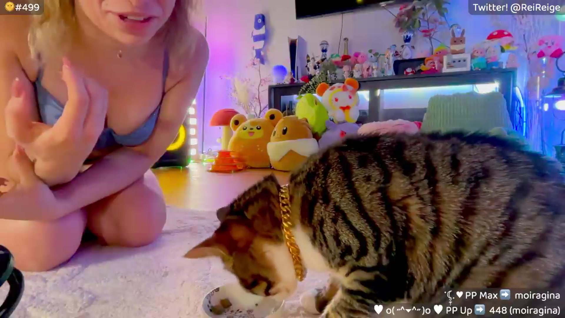 Gallery image thumbnail from Reige's myfreecams stream on, 08/03/2026, 10:29 image 20 of 20